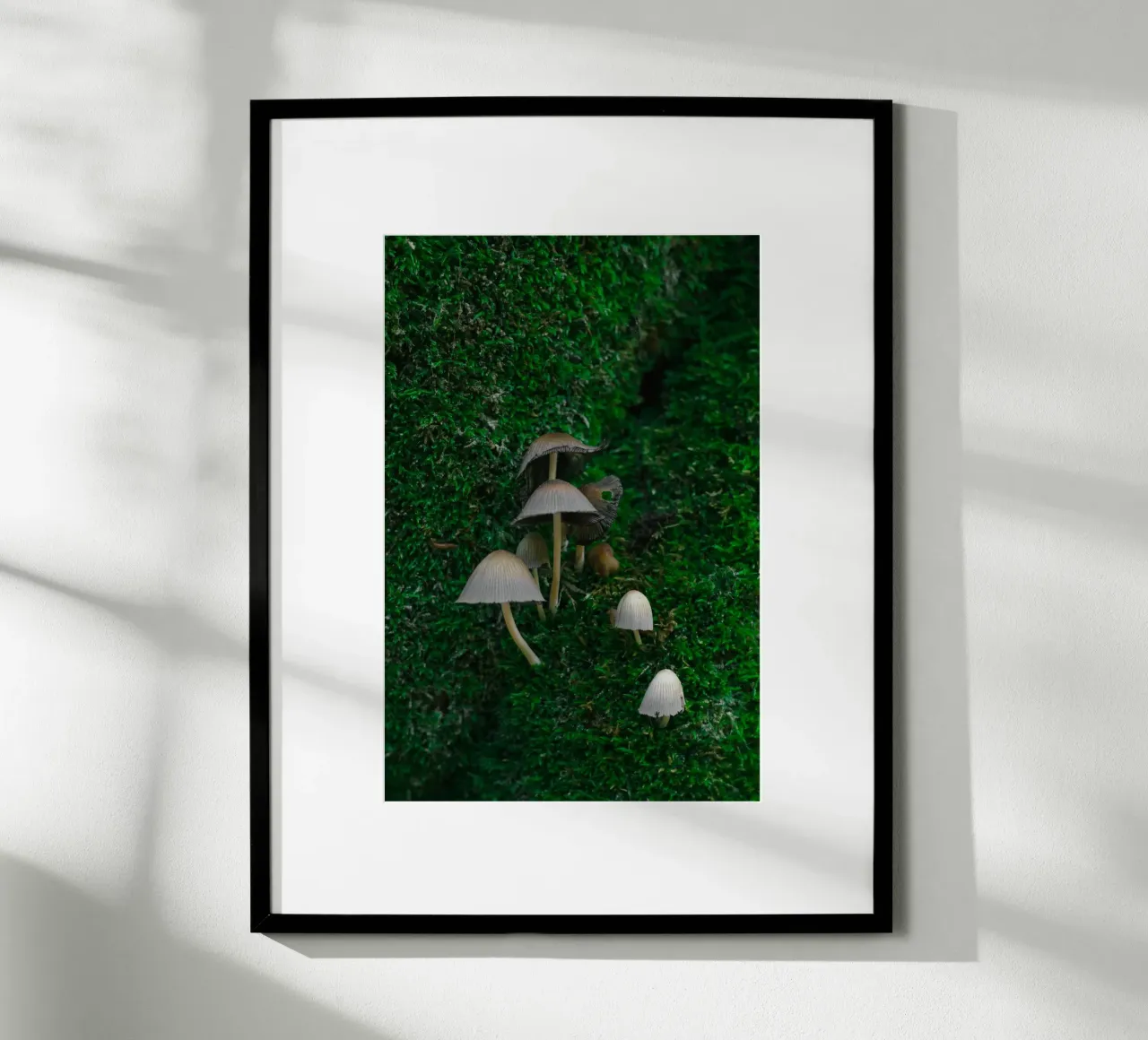 Mushrooms poster da _davide_elifheritage