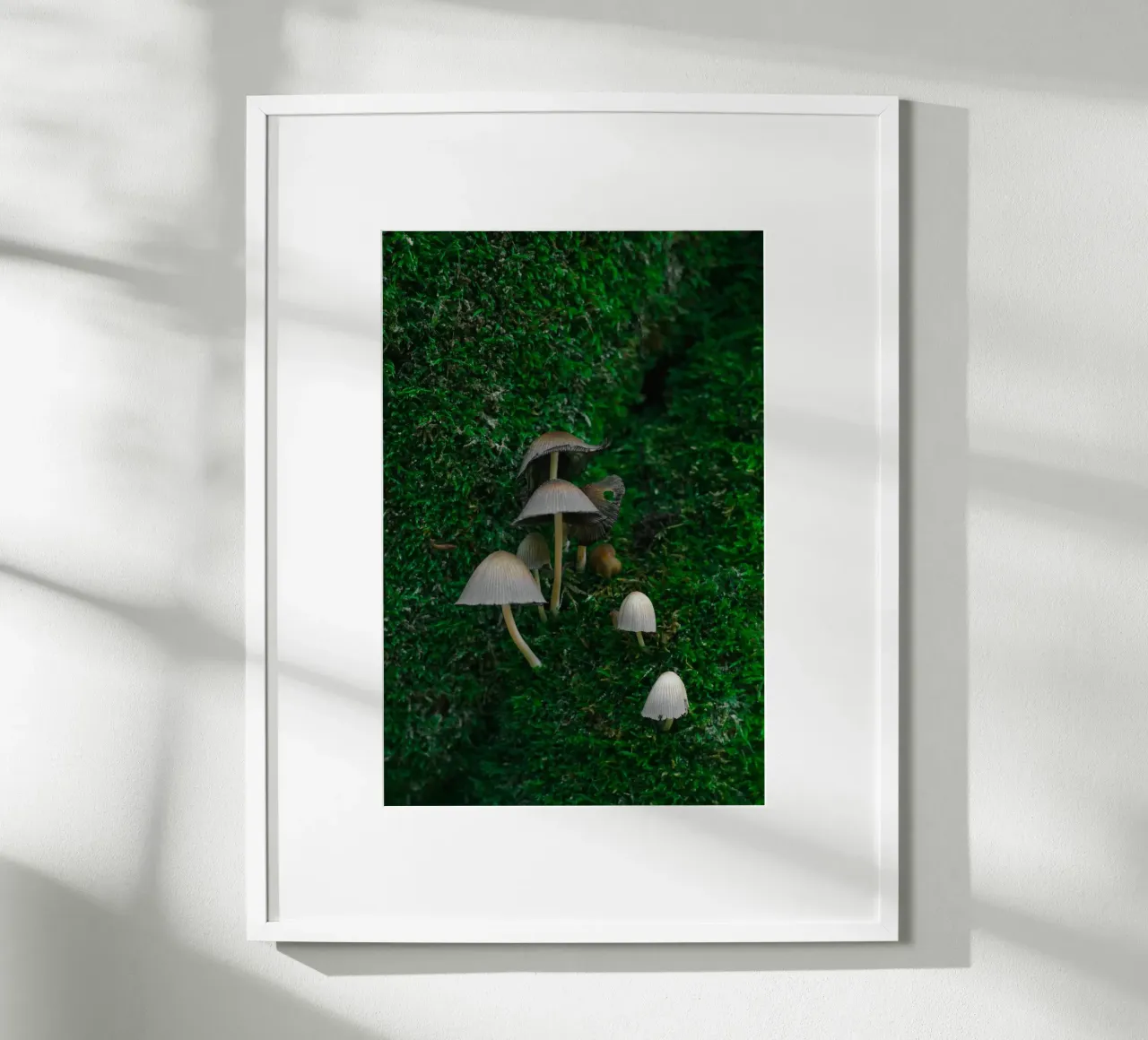 Mushrooms poster da _davide_elifheritage