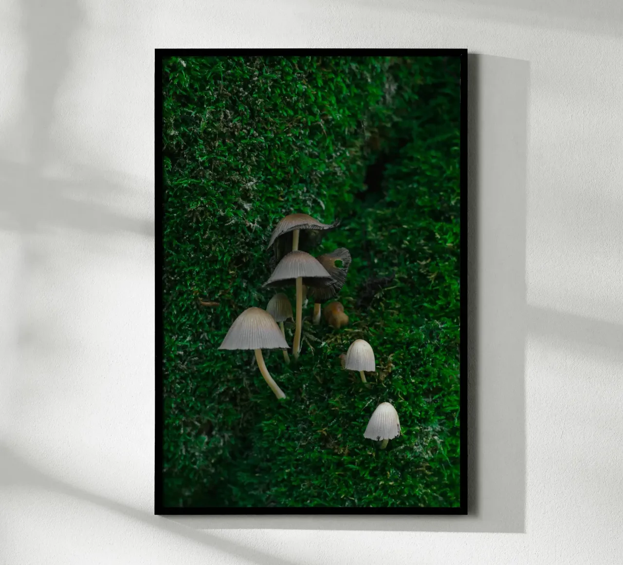 Mushrooms poster da _davide_elifheritage