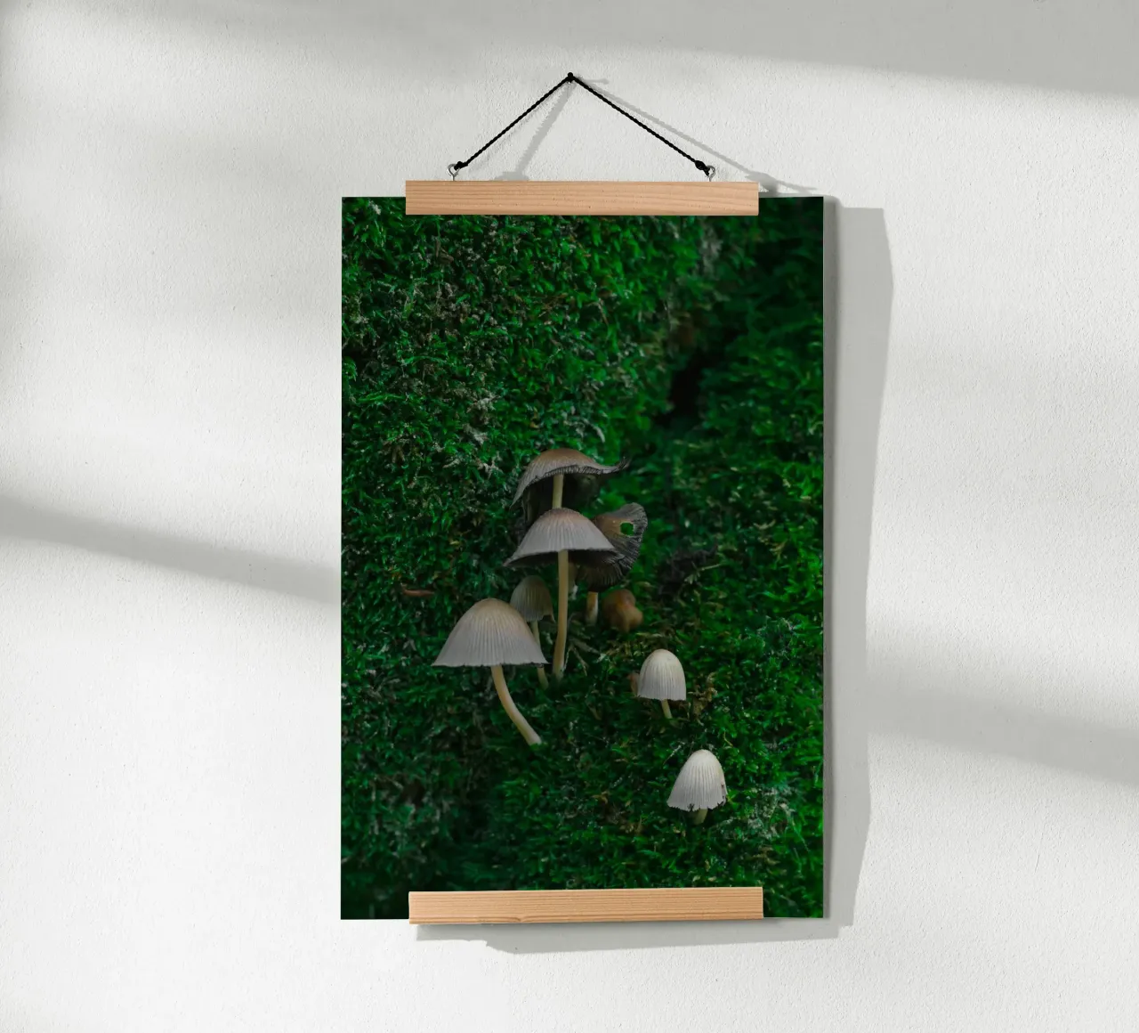 Mushrooms poster by _davide_elifheritage