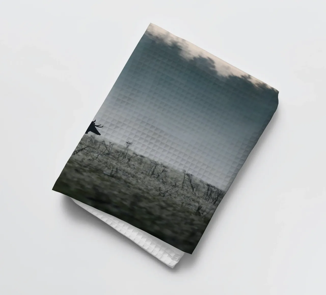 Daim dans la brume torchon de Tom's Wildlife