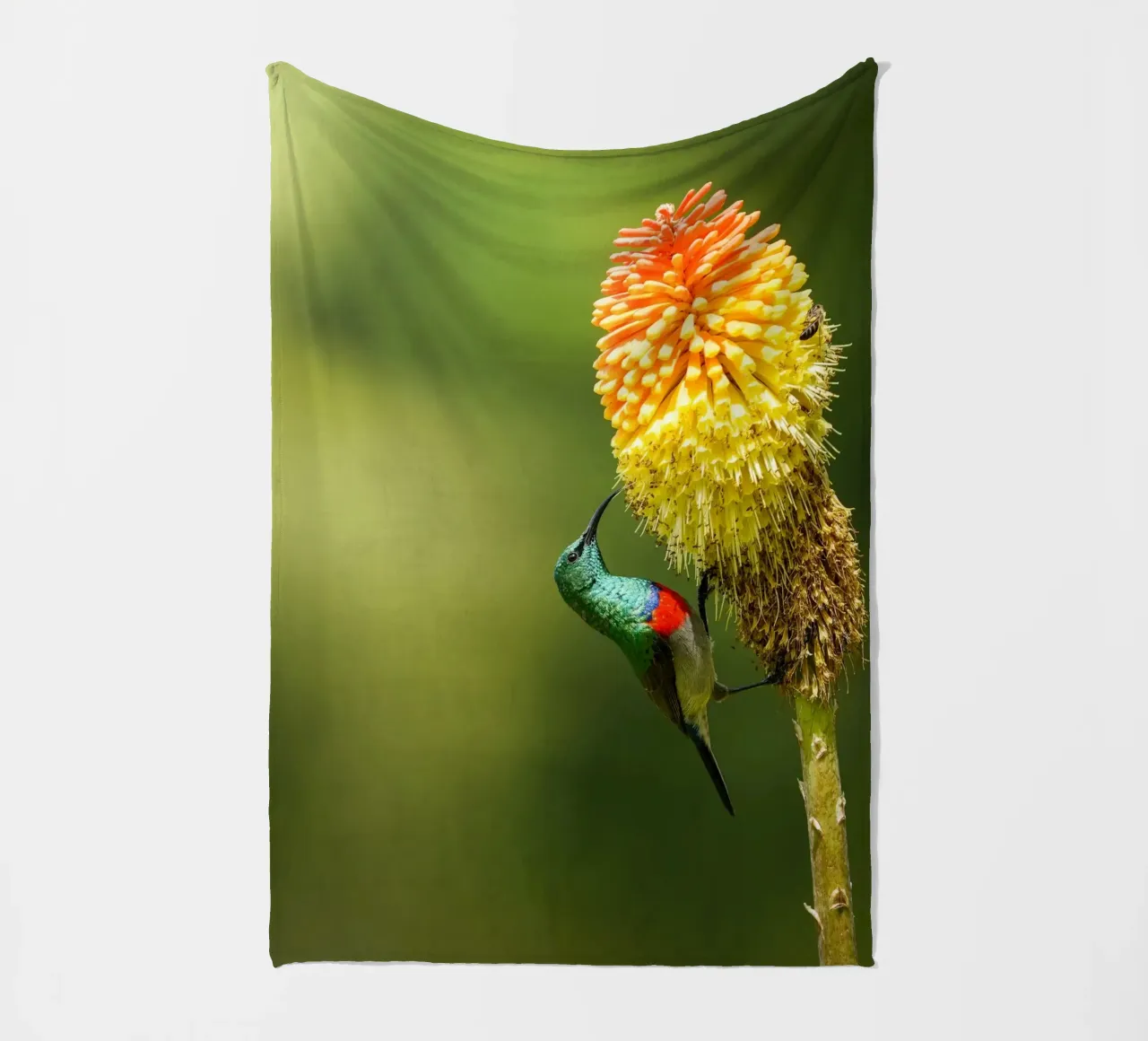 Sunbird fleecedeken van Tom's Wildlife