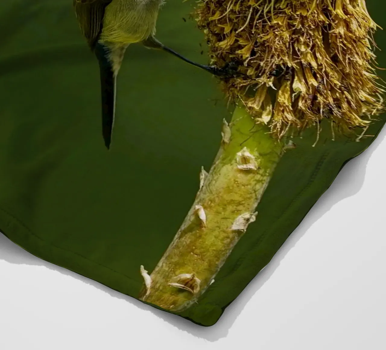 Sunbird fleecedeken van Tom's Wildlife