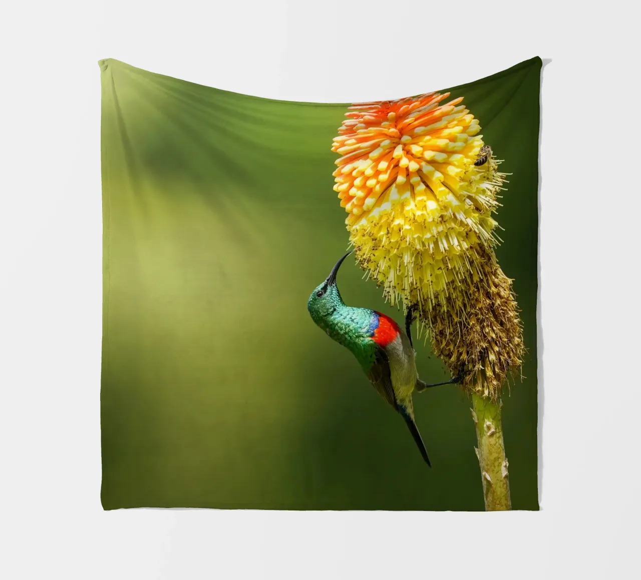 Sunbird fleecedeken van Tom's Wildlife