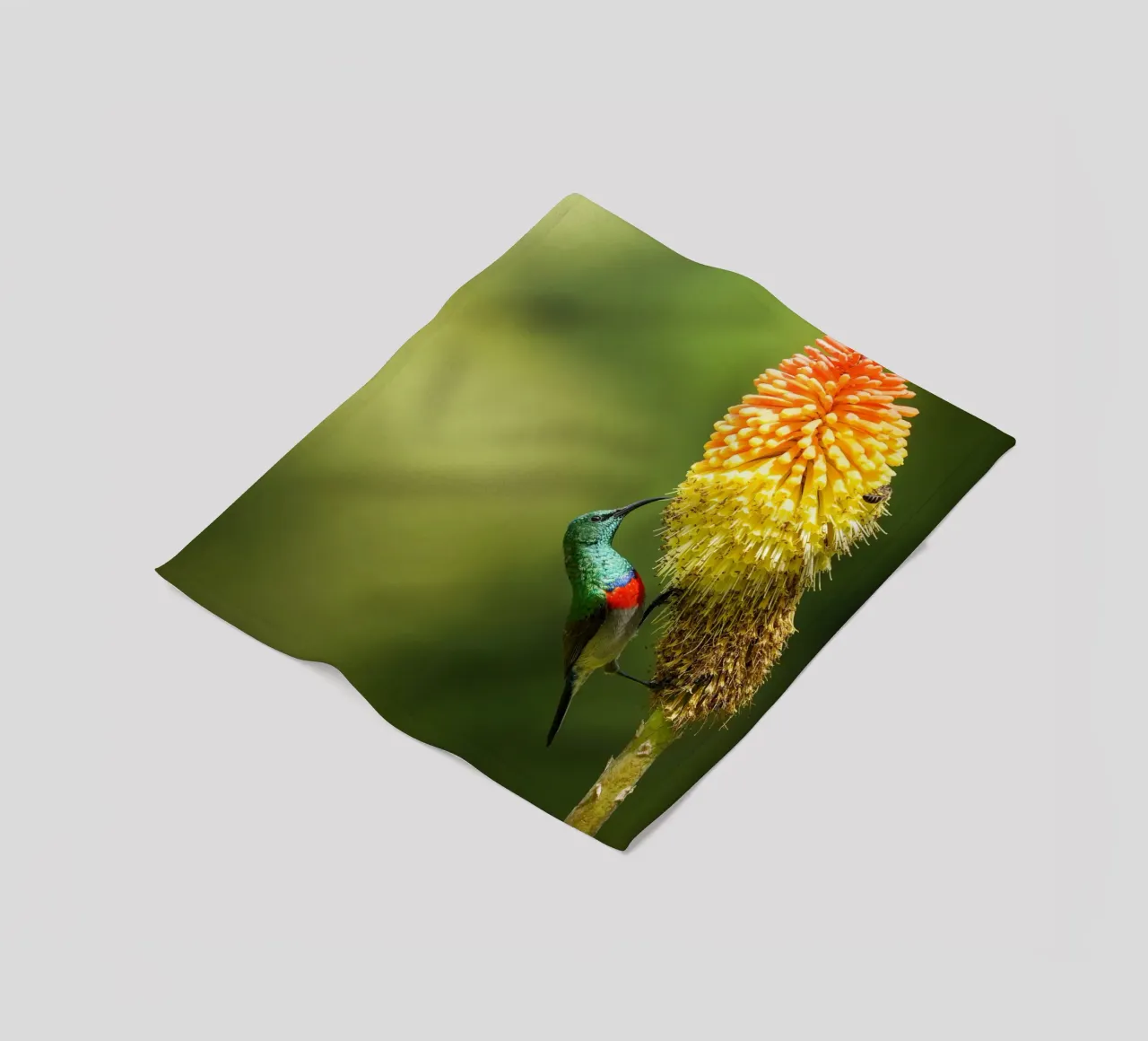 Sunbird fleecedeken van Tom's Wildlife