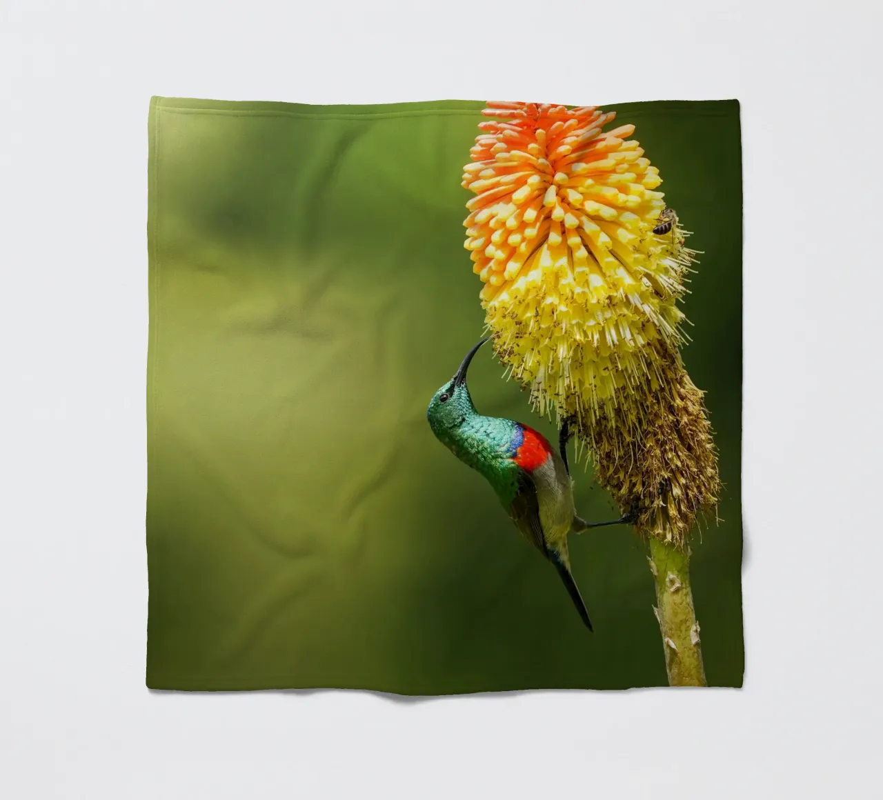 Sunbird fleecedeken van Tom's Wildlife