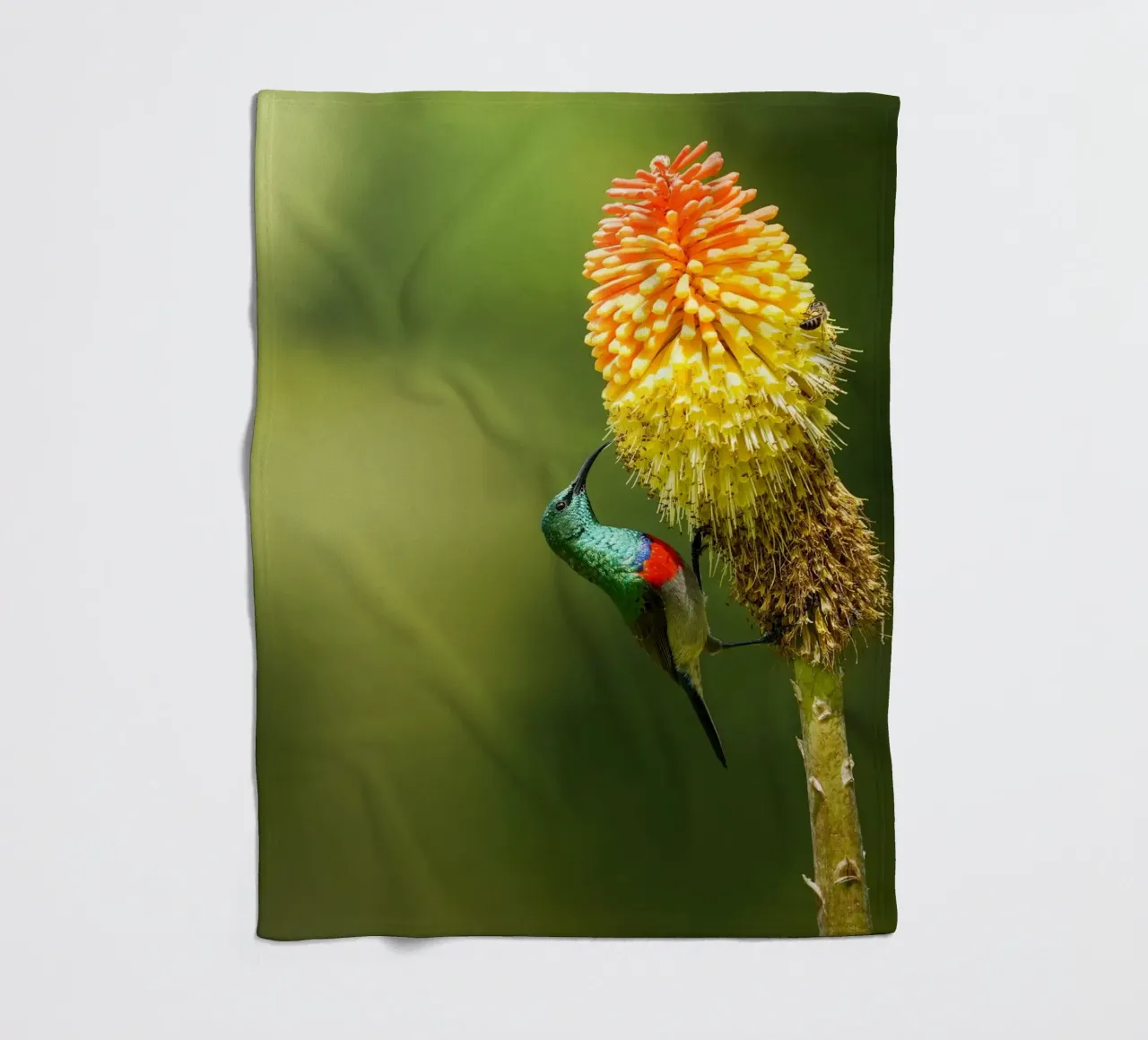 Sunbird fleecedeken van Tom's Wildlife