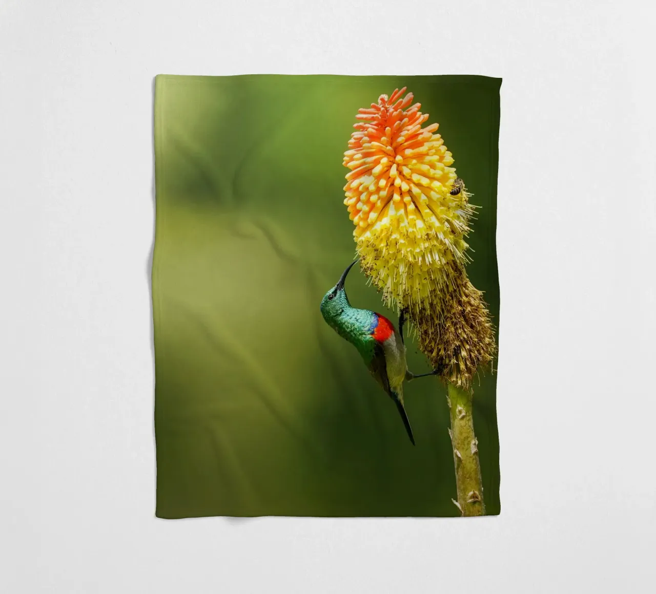 Sunbird fleecedeken van Tom's Wildlife