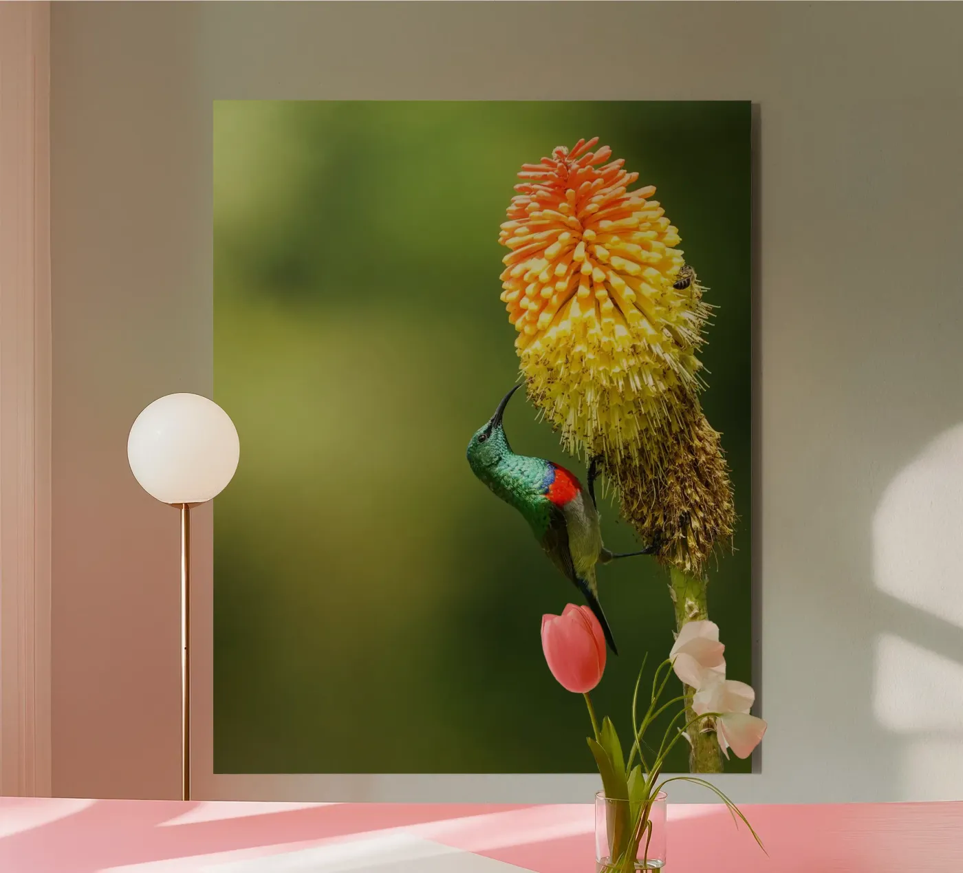 Sunbird forex plate by Tom's Wildlife