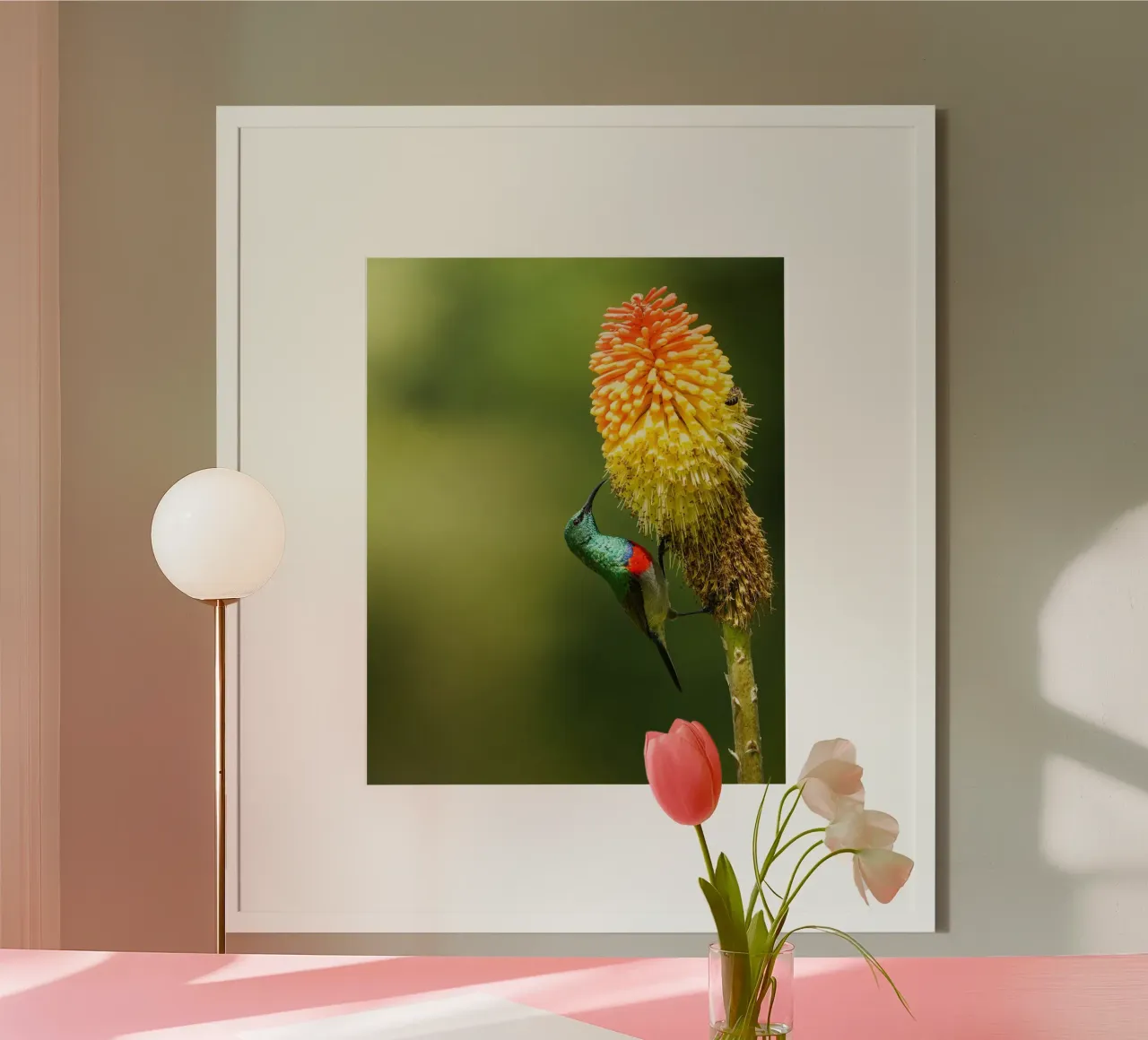 Sunbird poster by Tom's Wildlife