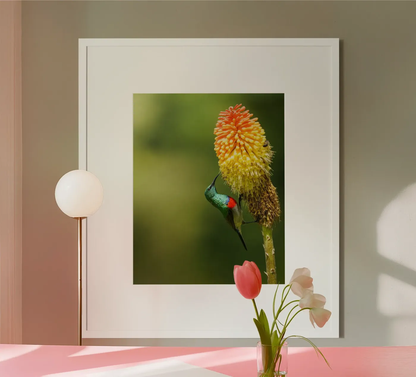 Sunbird poster van Tom's Wildlife