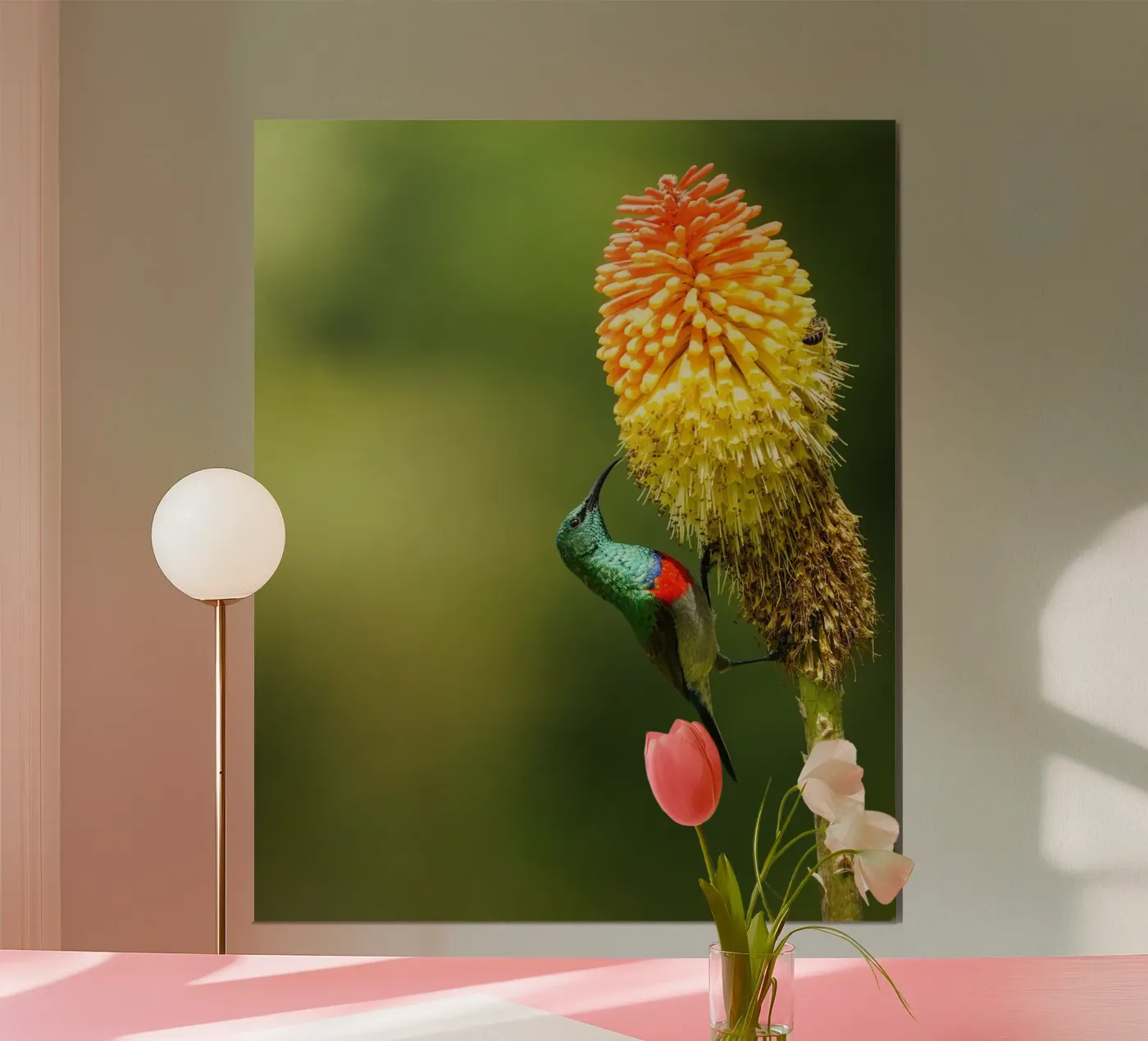 Sunbird poster van Tom's Wildlife