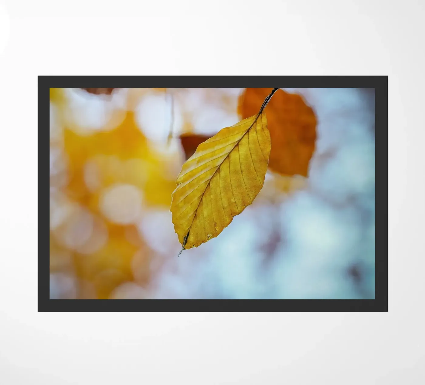 Herfstbladeren deurmat van Tom's Wildlife