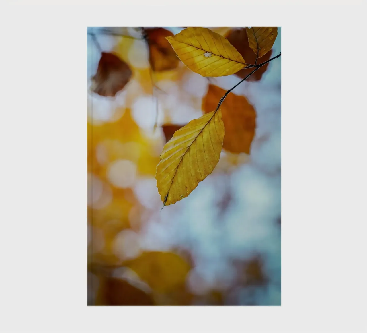 Autumn leaves notebook by Tom's Wildlife