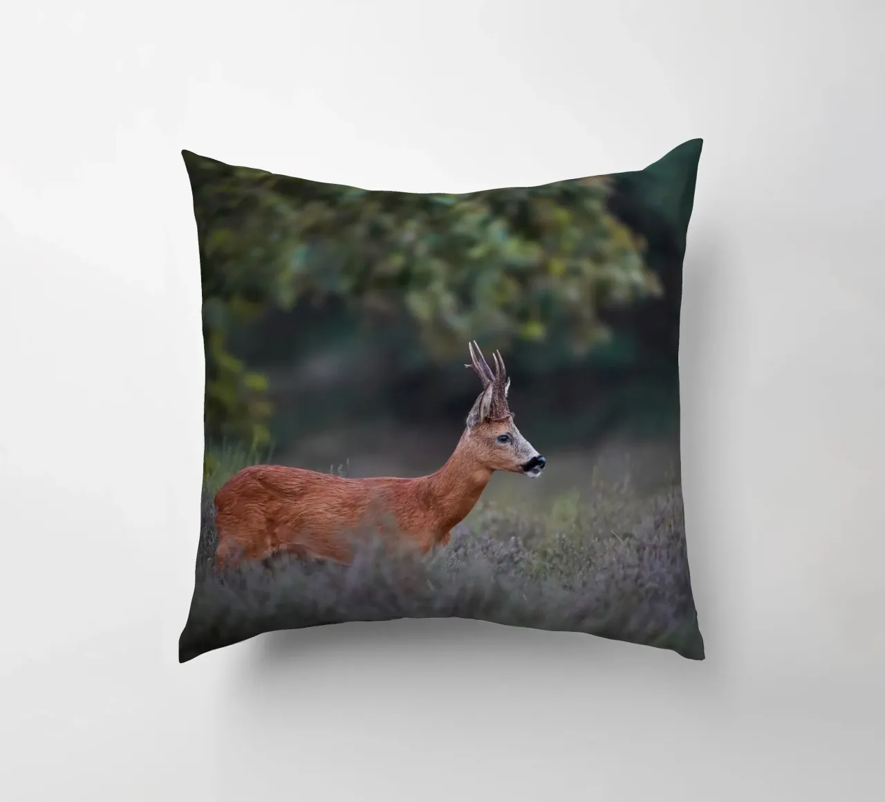 Capriolo cuscino da Tom's Wildlife