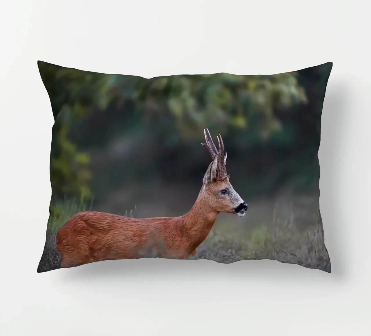 Capriolo cuscino da Tom's Wildlife
