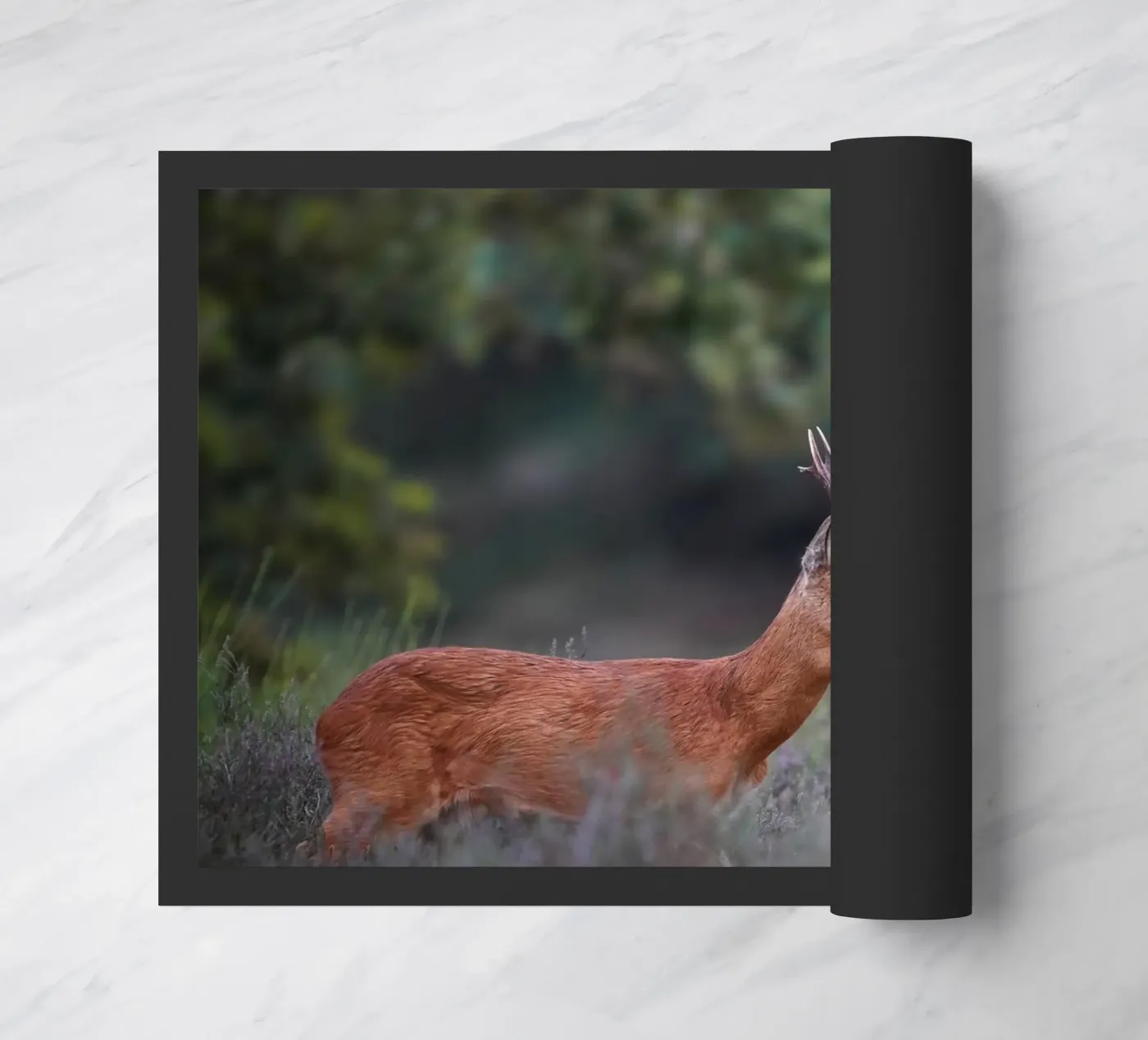 Roe Deer doormat by Tom's Wildlife