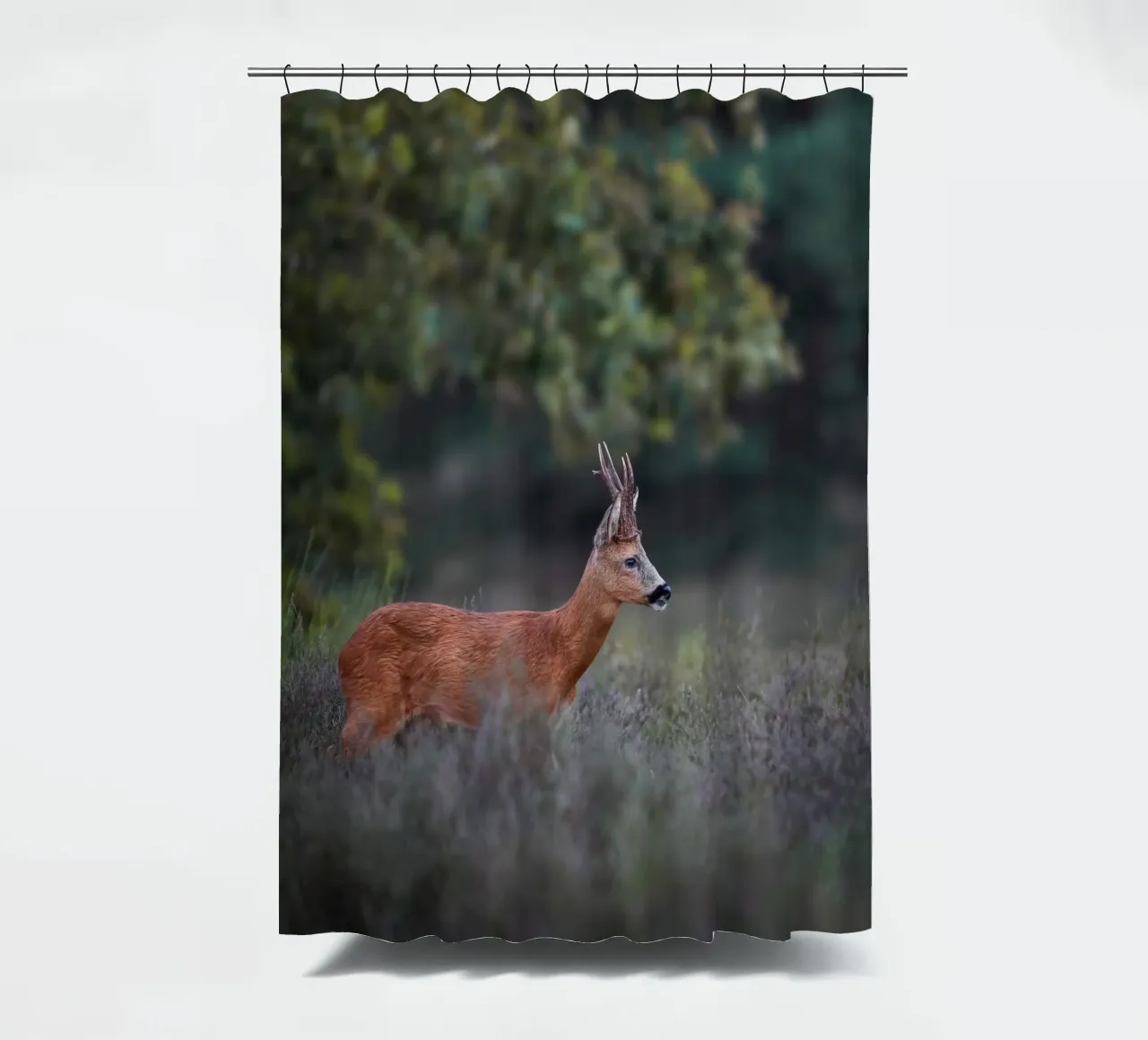 Capriolo tenda da doccia da Tom's Wildlife