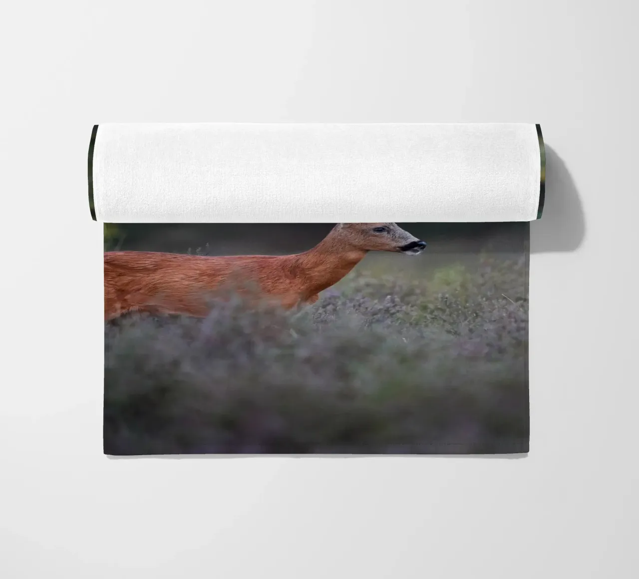 Capriolo telo mare da Tom's Wildlife