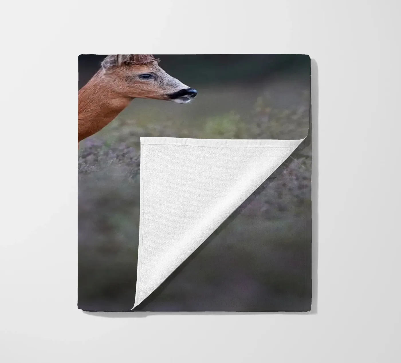 Capriolo telo mare da Tom's Wildlife