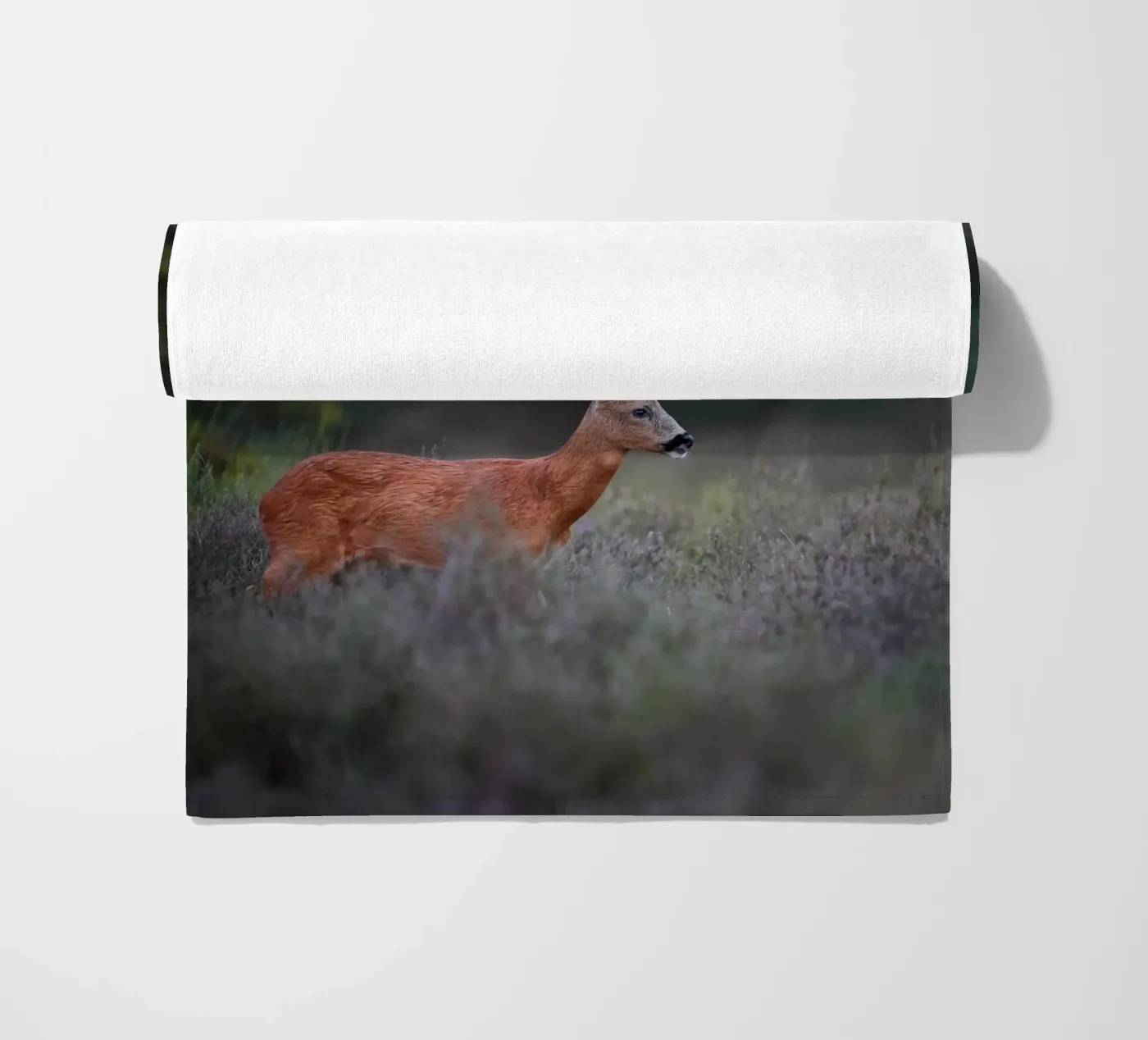 Capriolo telo mare da Tom's Wildlife