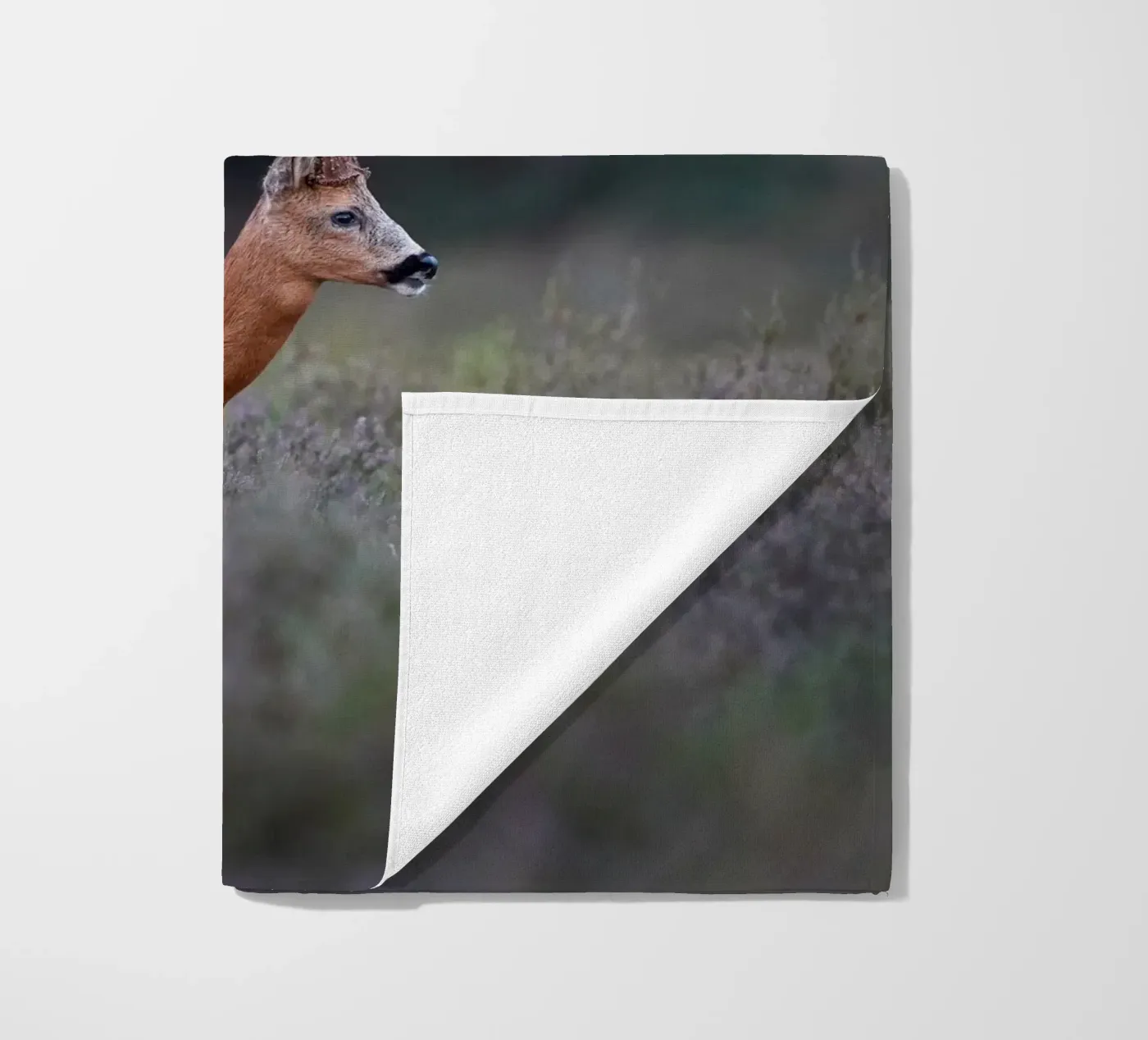 Capriolo telo mare da Tom's Wildlife