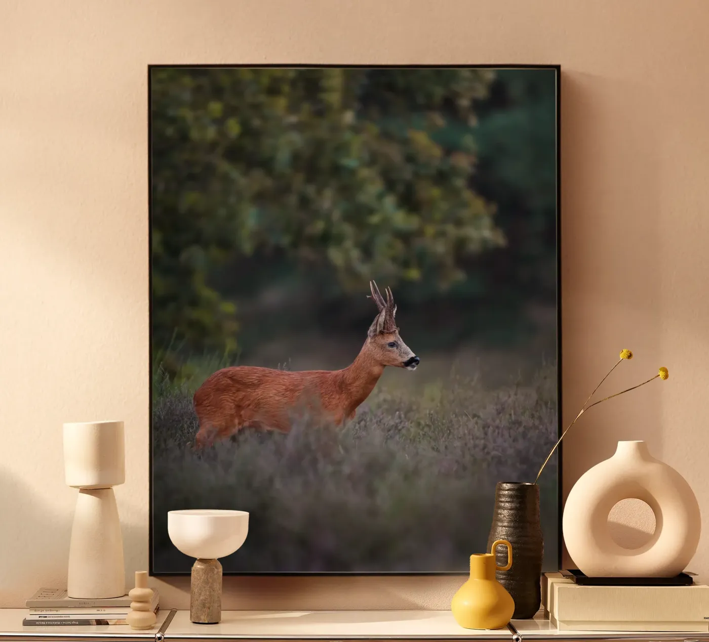 Roe Deer Acryl-Glas von Tom's Wildlife