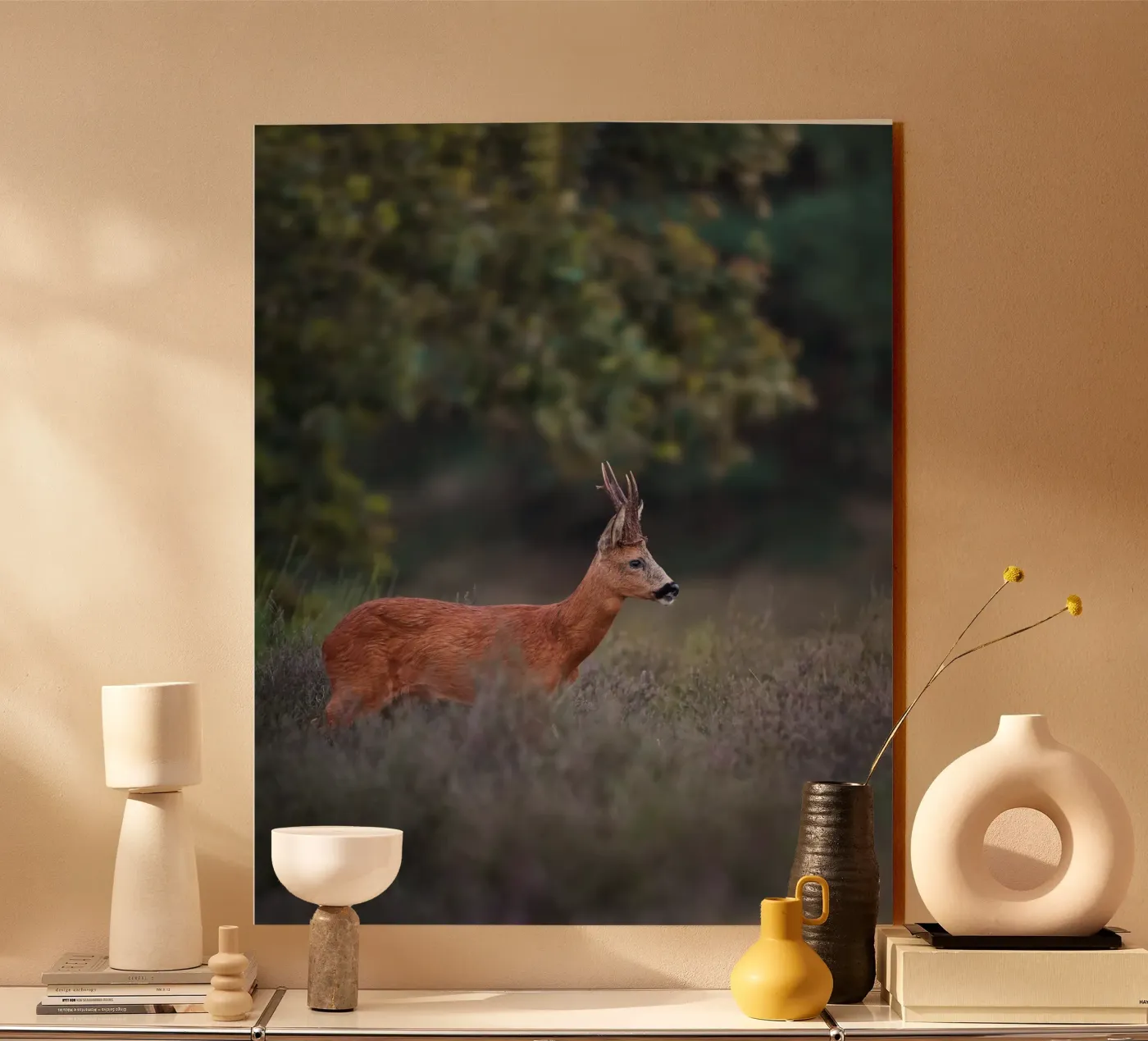Roe Deer Acryl-Glas von Tom's Wildlife