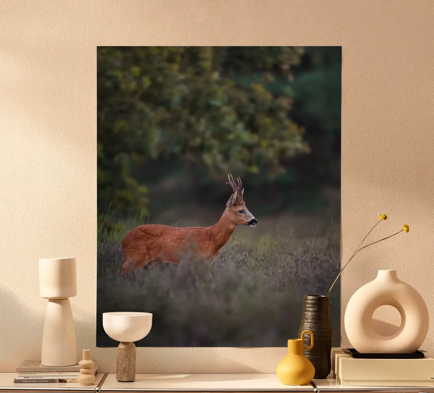 Roe Deer poster by Tom's Wildlife