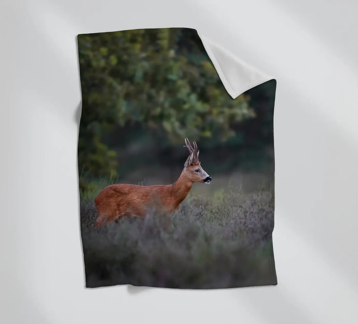 Roe Deer coperta in pile da Tom's Wildlife