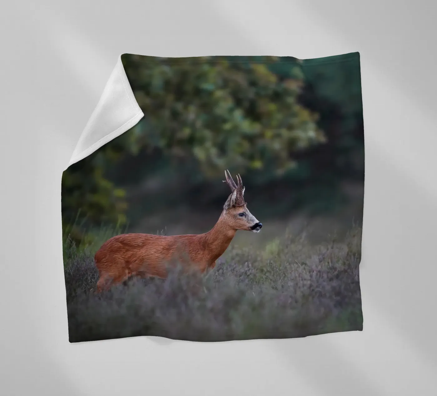 Roe Deer coperta in pile da Tom's Wildlife