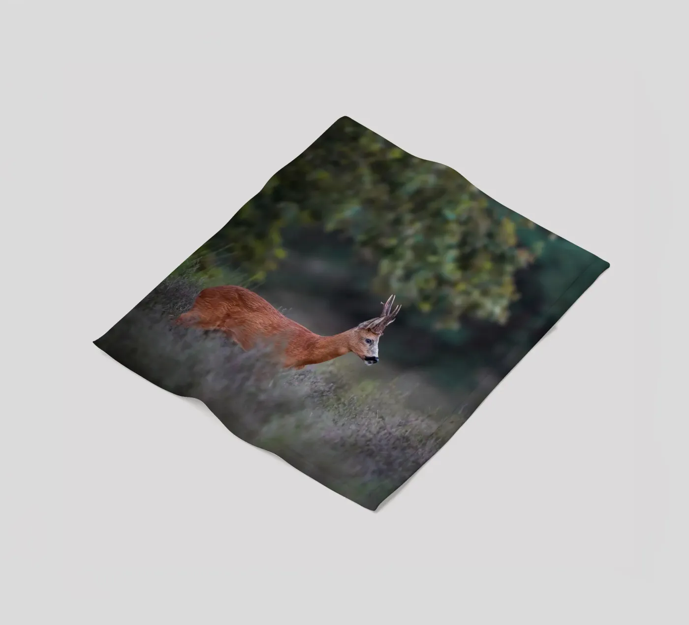Roe Deer coperta in pile da Tom's Wildlife
