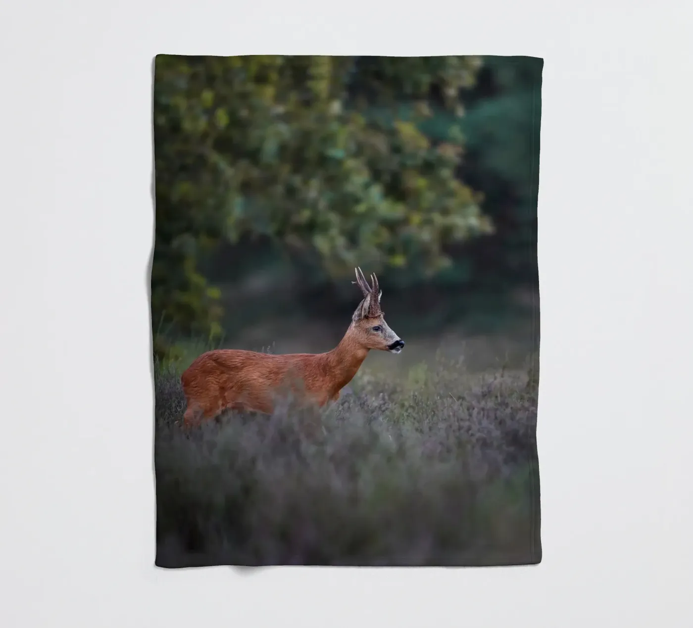 Roe Deer coperta in pile da Tom's Wildlife