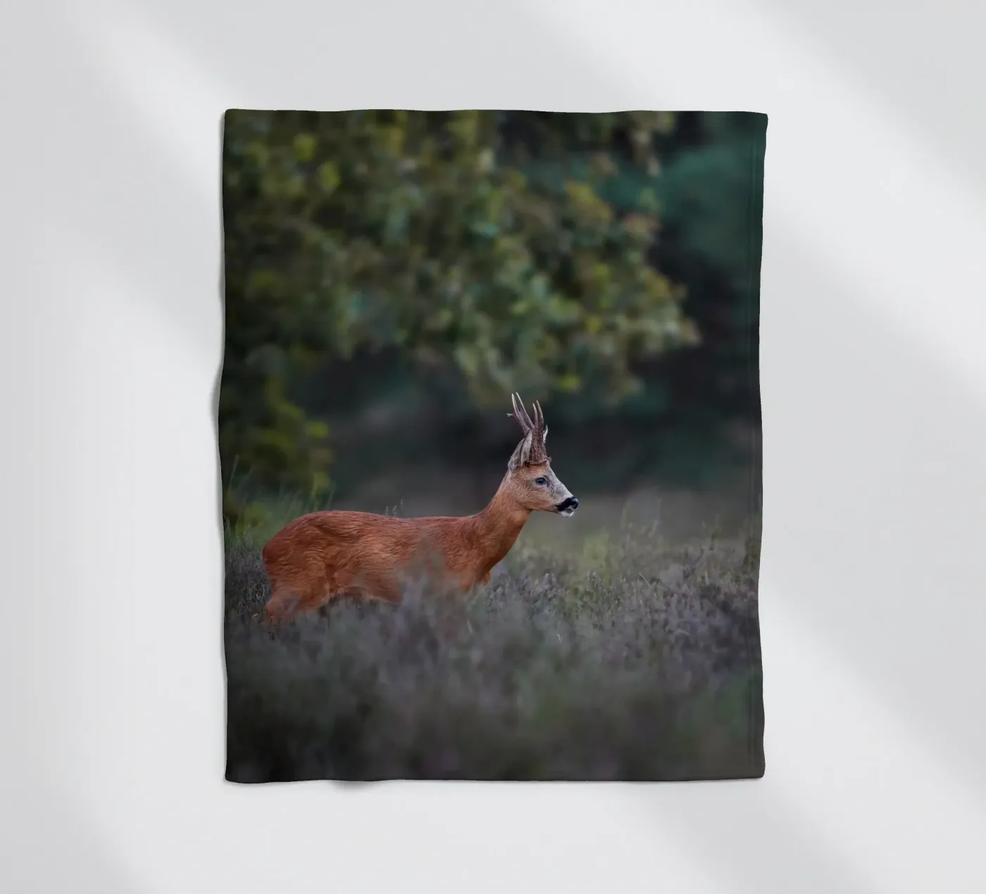 Roe Deer coperta in pile da Tom's Wildlife