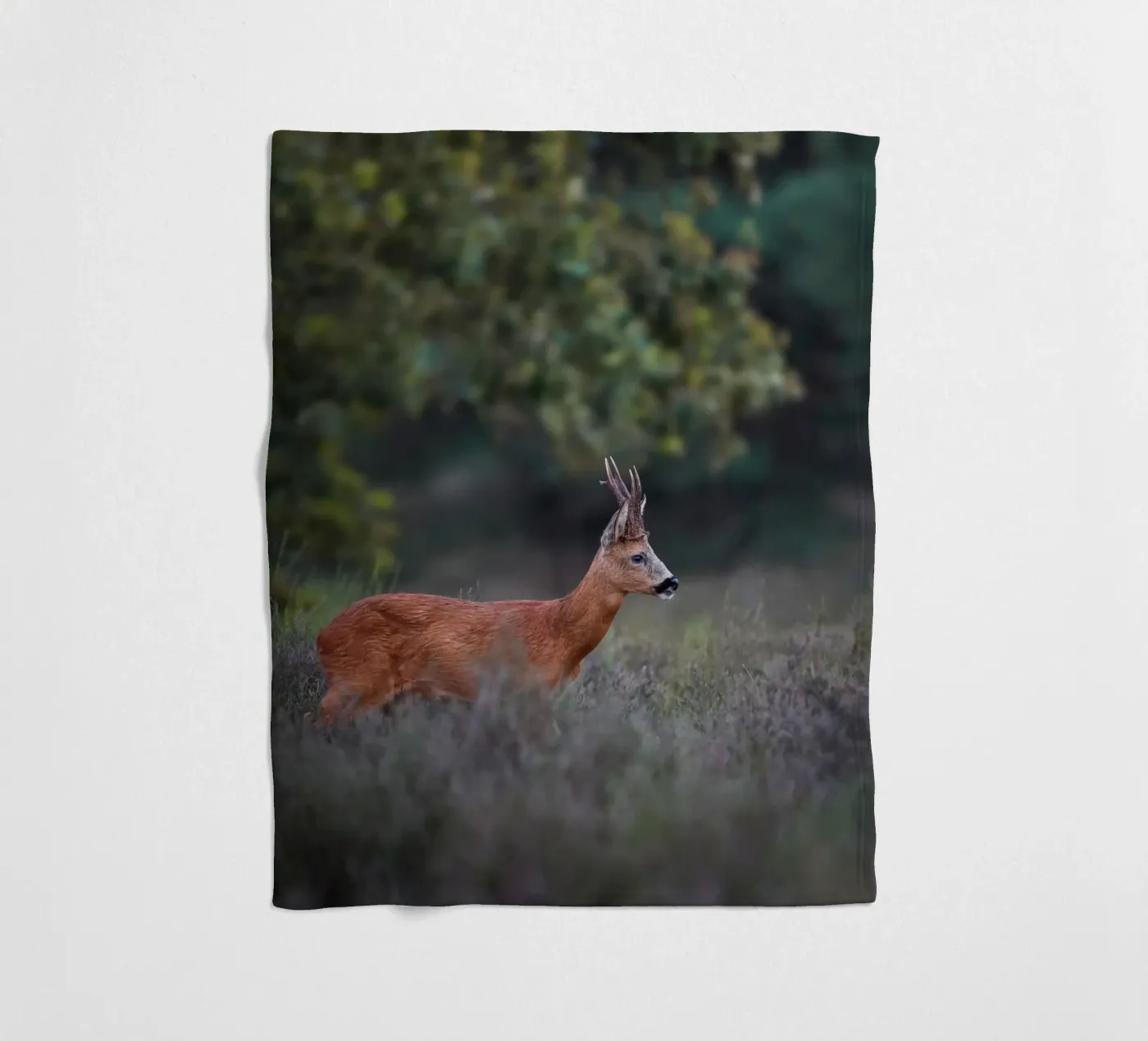 Roe Deer coperta in pile da Tom's Wildlife