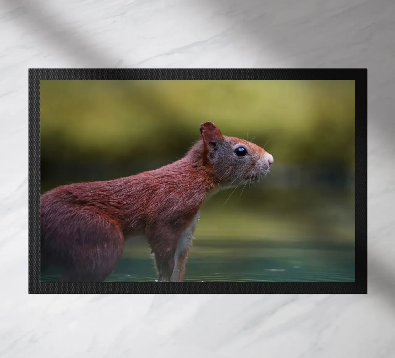 Squirrel doormat by Tom's Wildlife