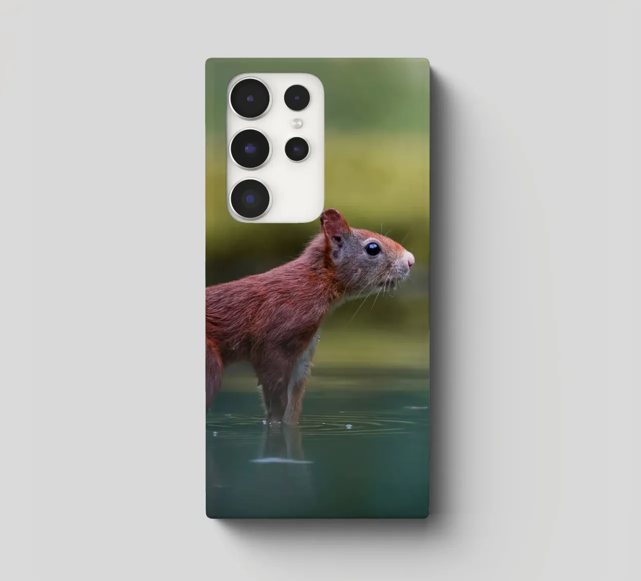 Scoiattolo cover samsung da Tom's Wildlife
