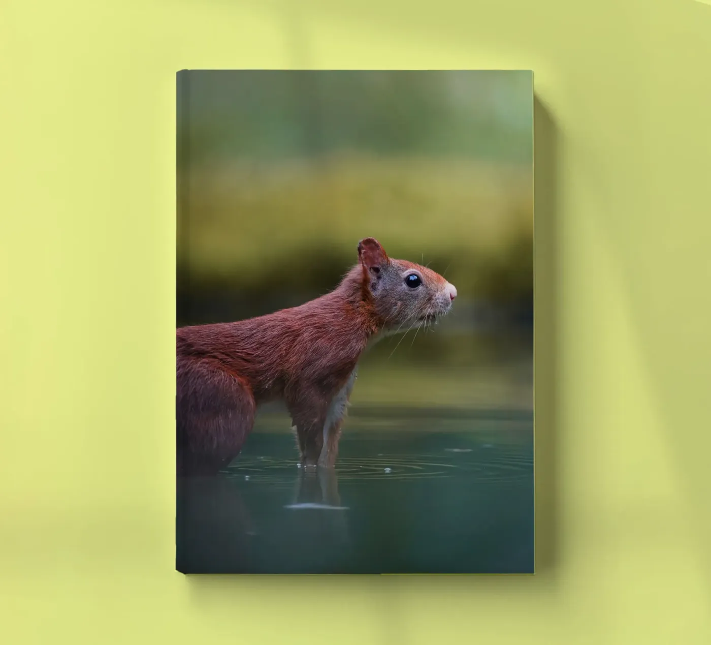 Squirrel notebook by Tom's Wildlife