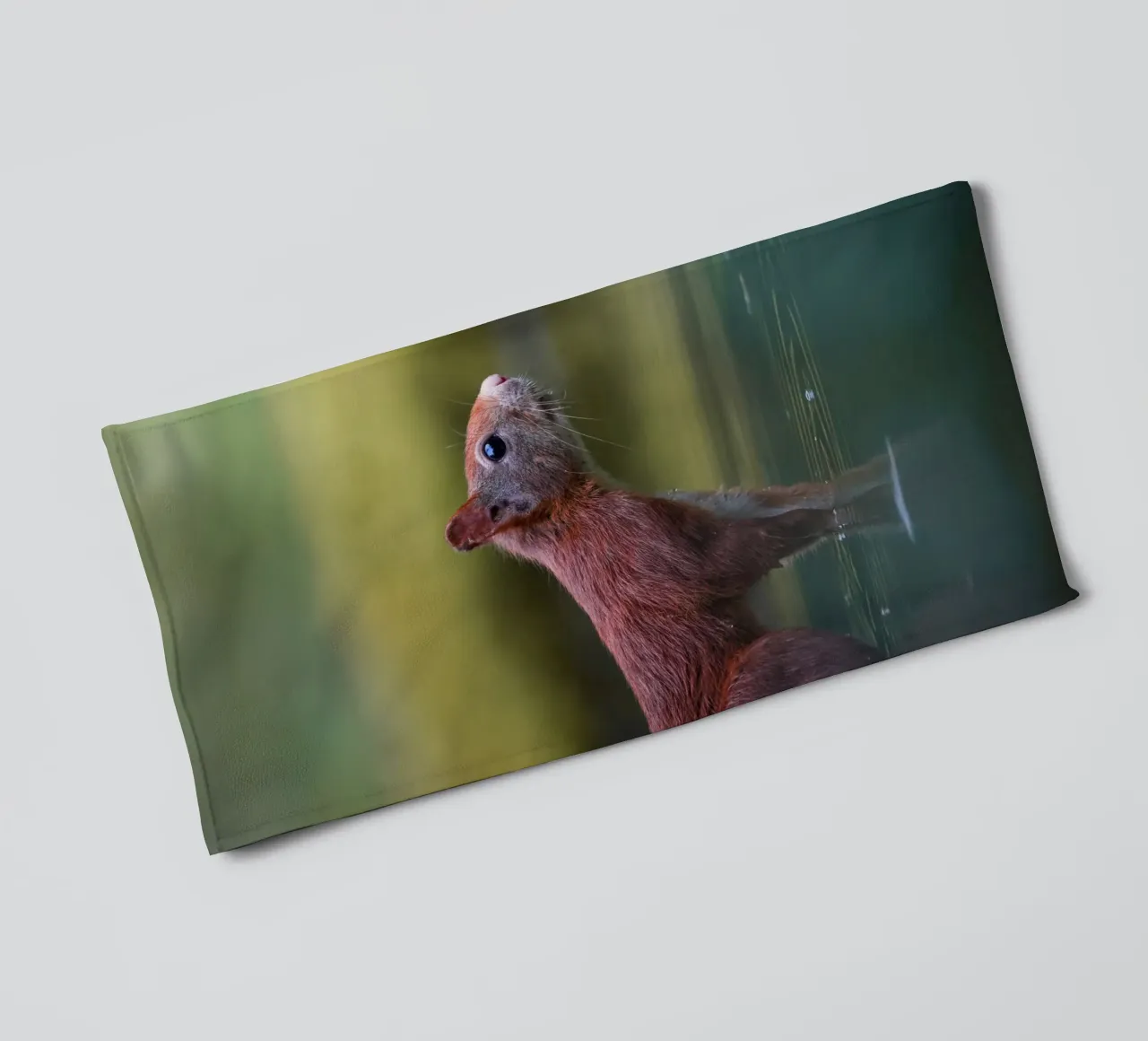 Squirrel towel by Tom's Wildlife