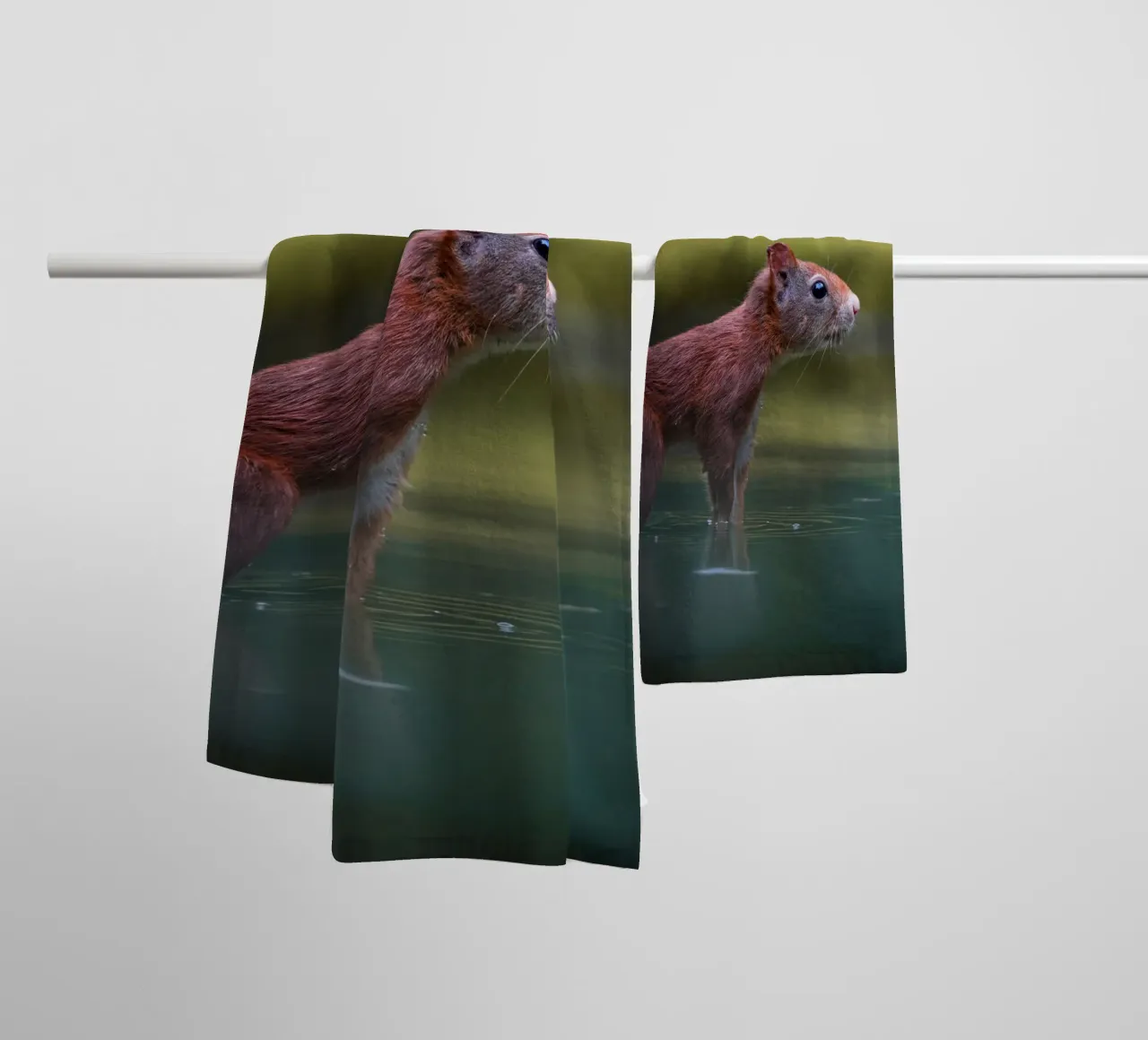 Squirrel towel by Tom's Wildlife