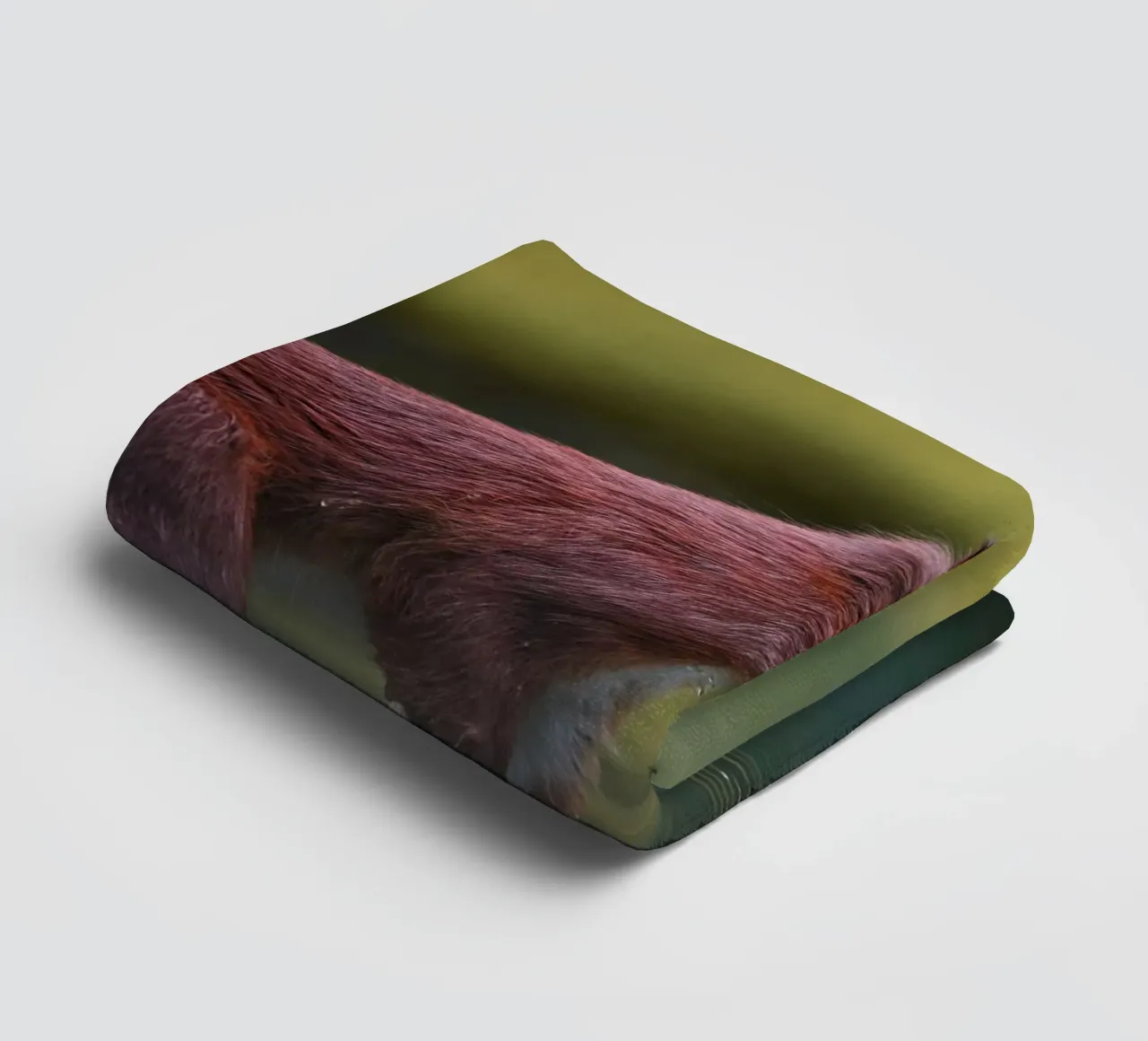 Squirrel towel by Tom's Wildlife