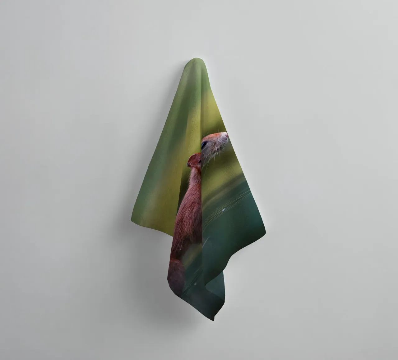 Squirrel towel by Tom's Wildlife