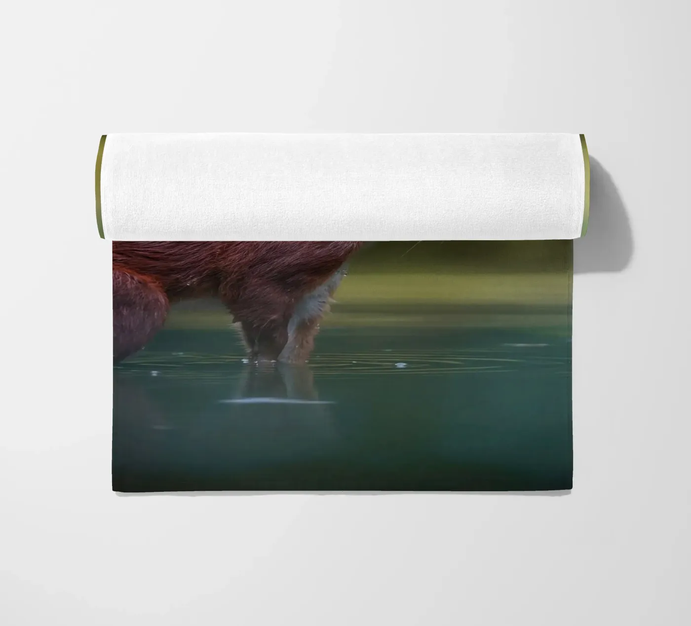 Squirrel beach towel by Tom's Wildlife