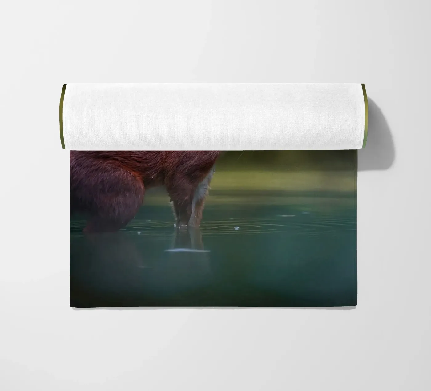 Squirrel beach towel by Tom's Wildlife
