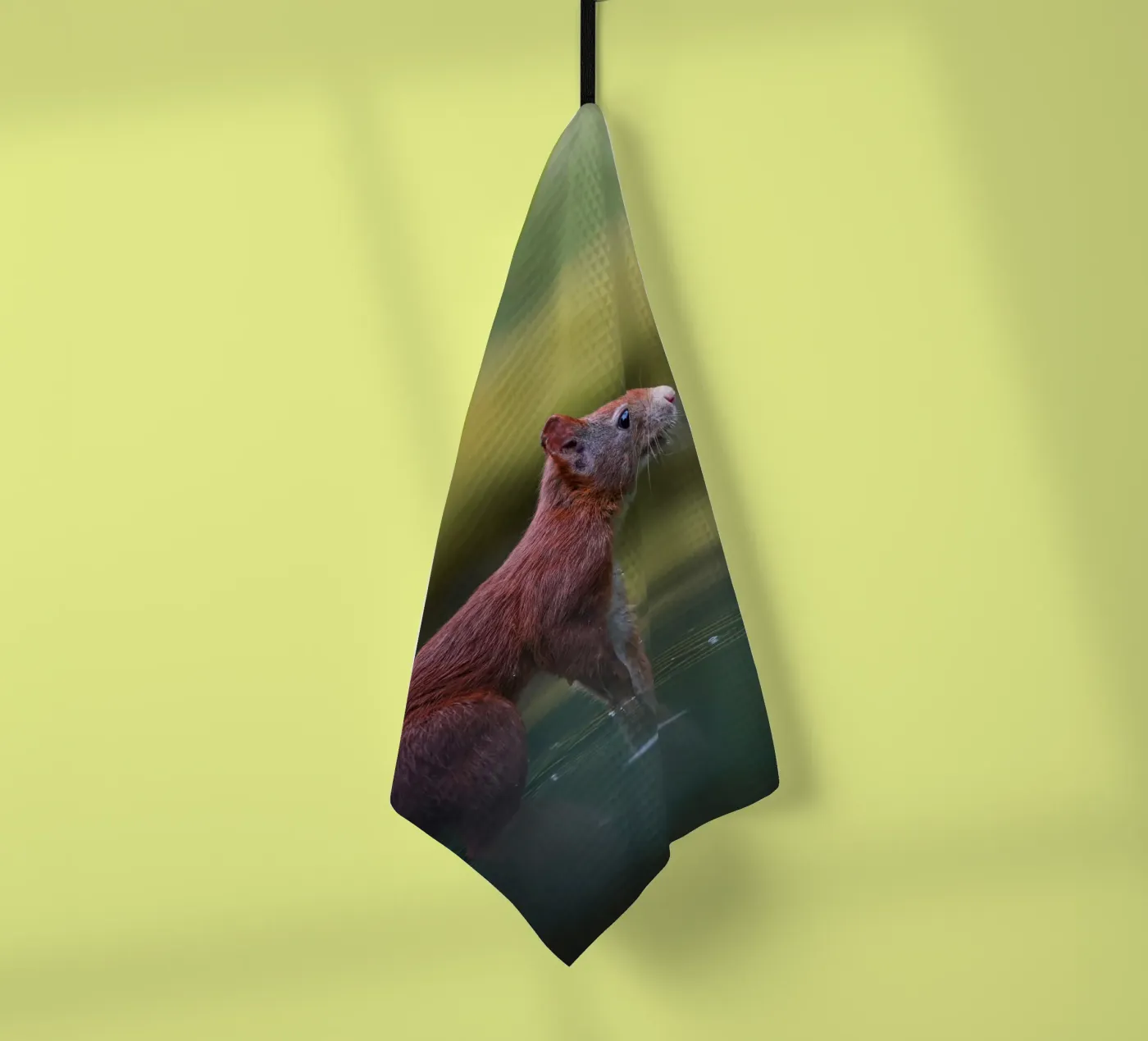 Eekhoorn theedoek van Tom's Wildlife