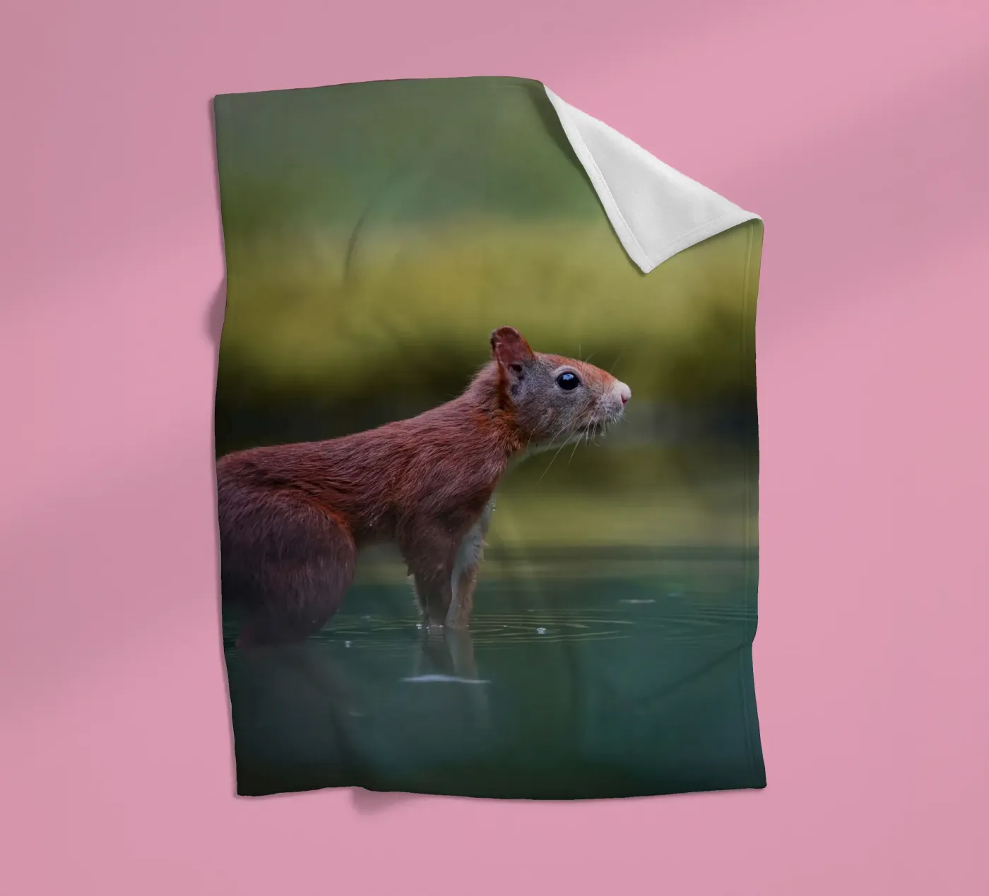 Squirrel fleece blanket by Tom's Wildlife