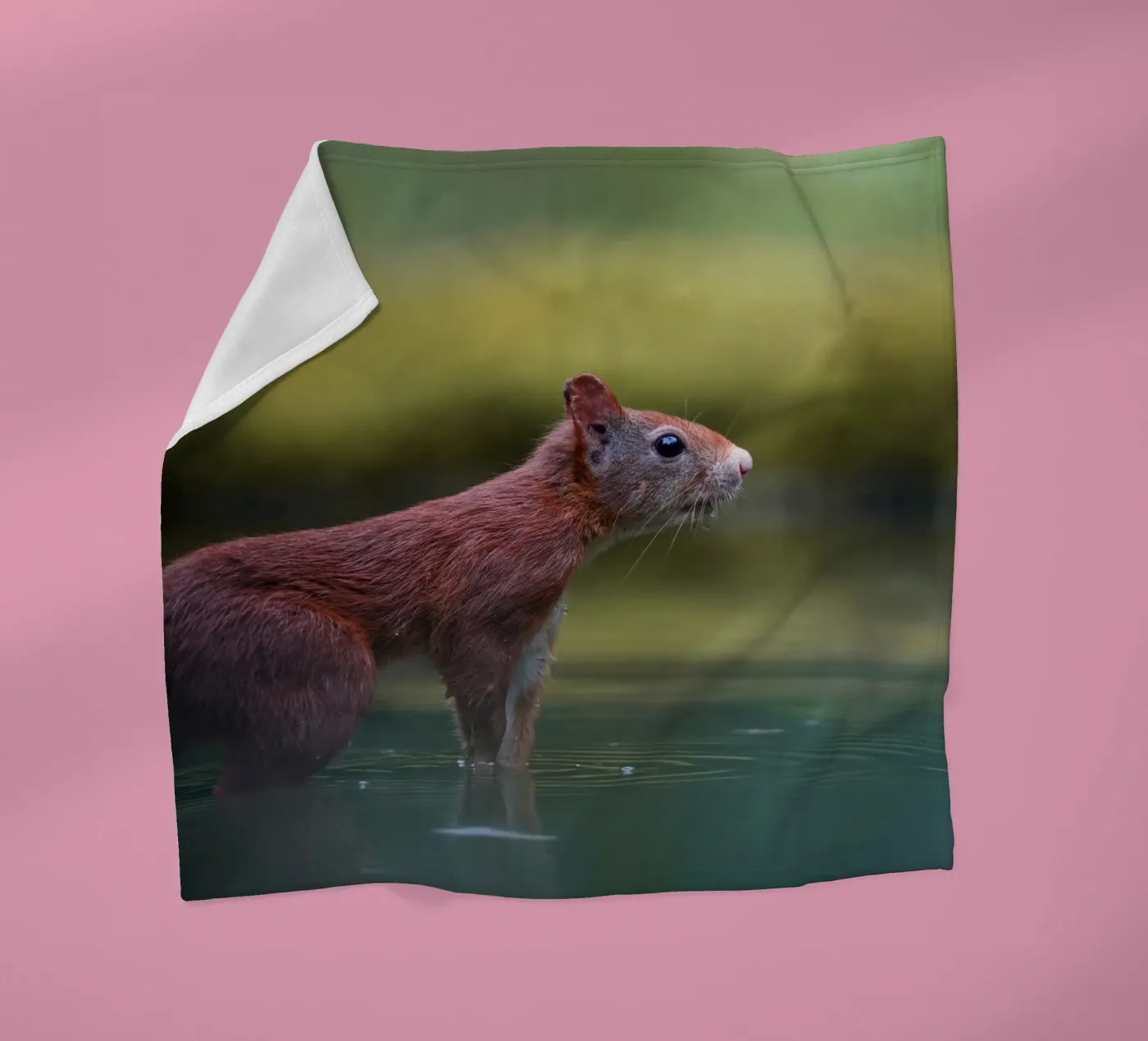 Squirrel fleece blanket by Tom's Wildlife