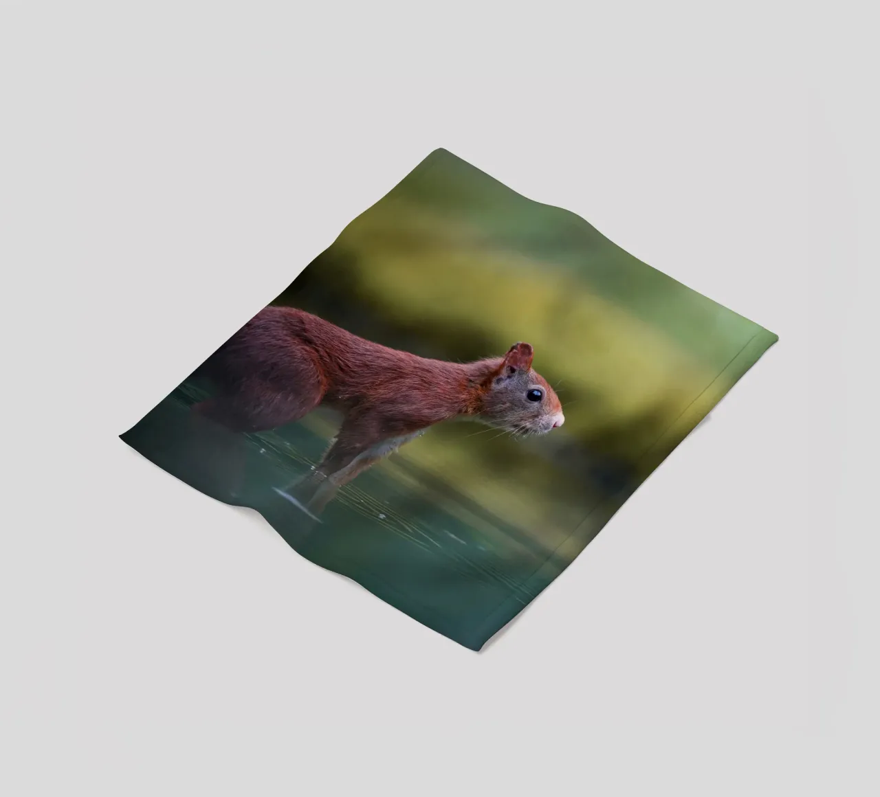 Eekhoorn fleecedeken van Tom's Wildlife