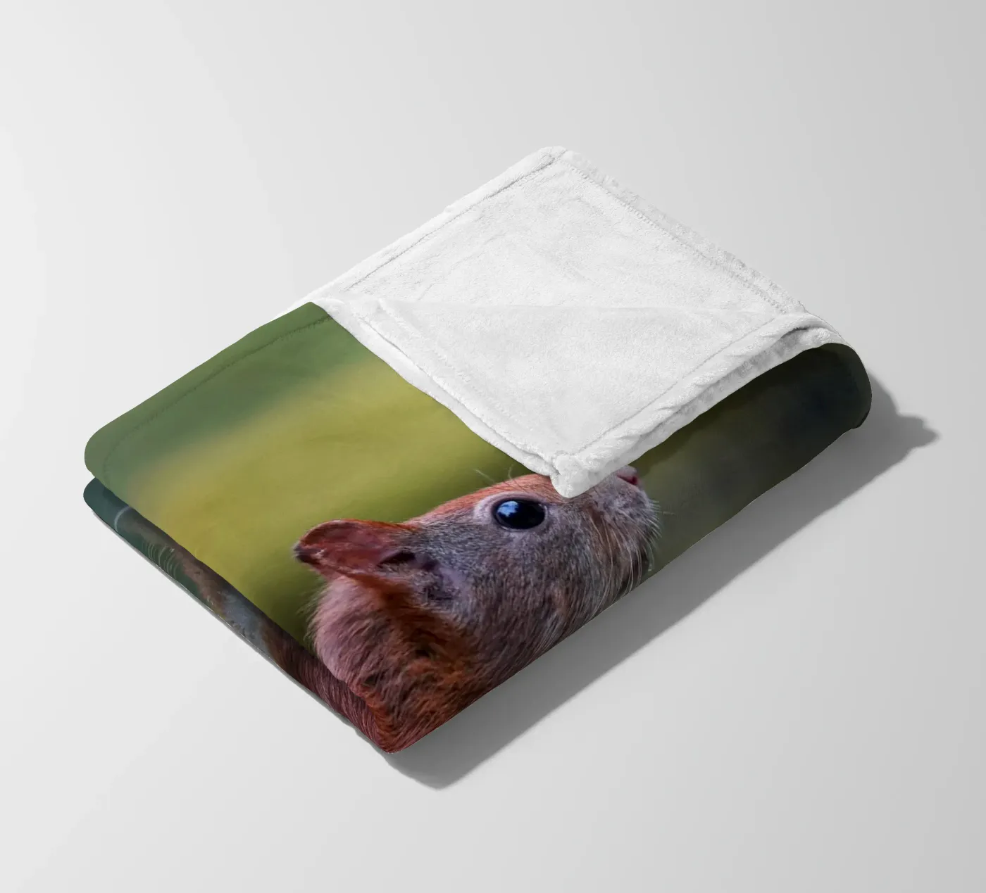 Squirrel fleece blanket by Tom's Wildlife