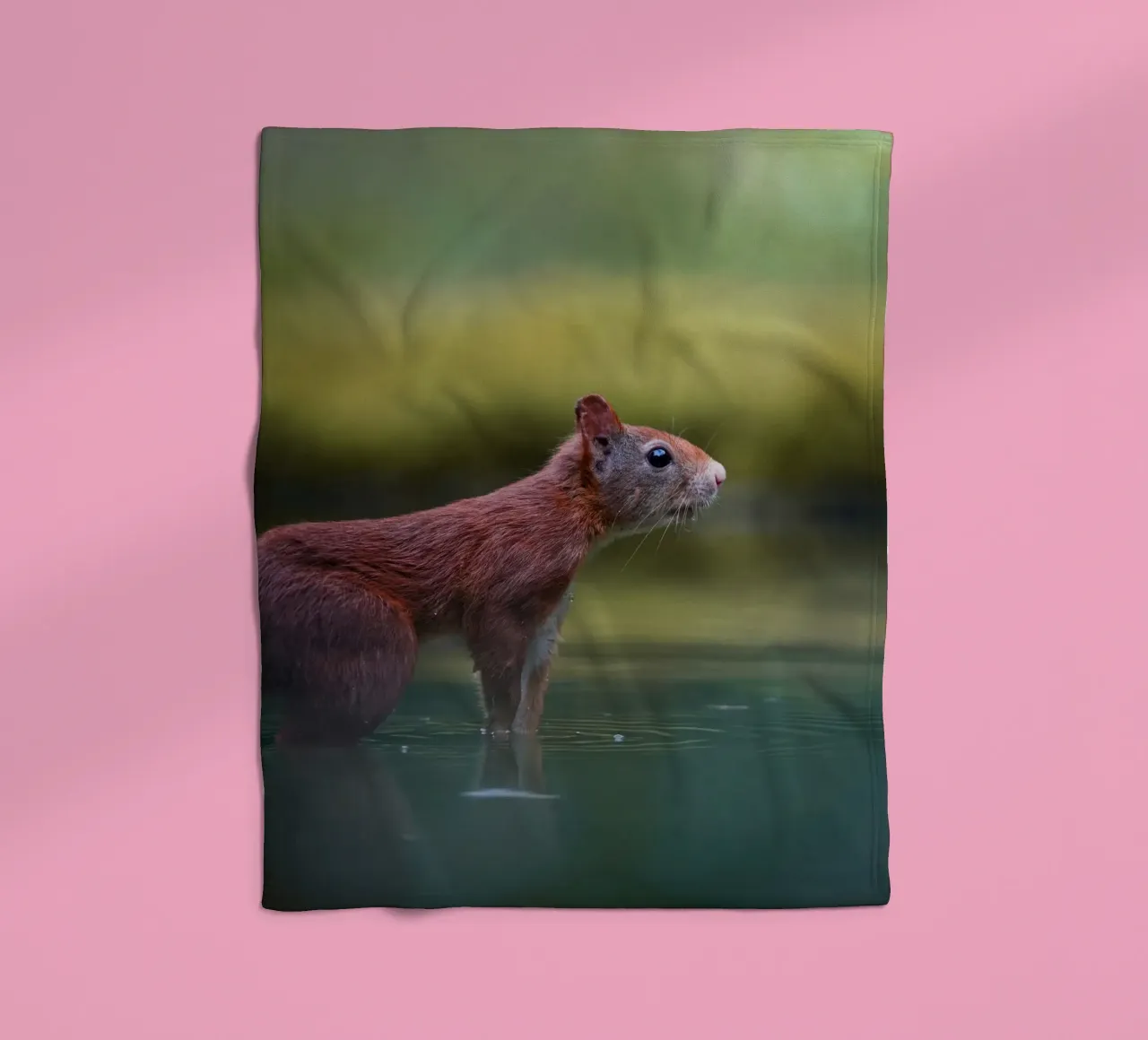 Eekhoorn fleecedeken van Tom's Wildlife